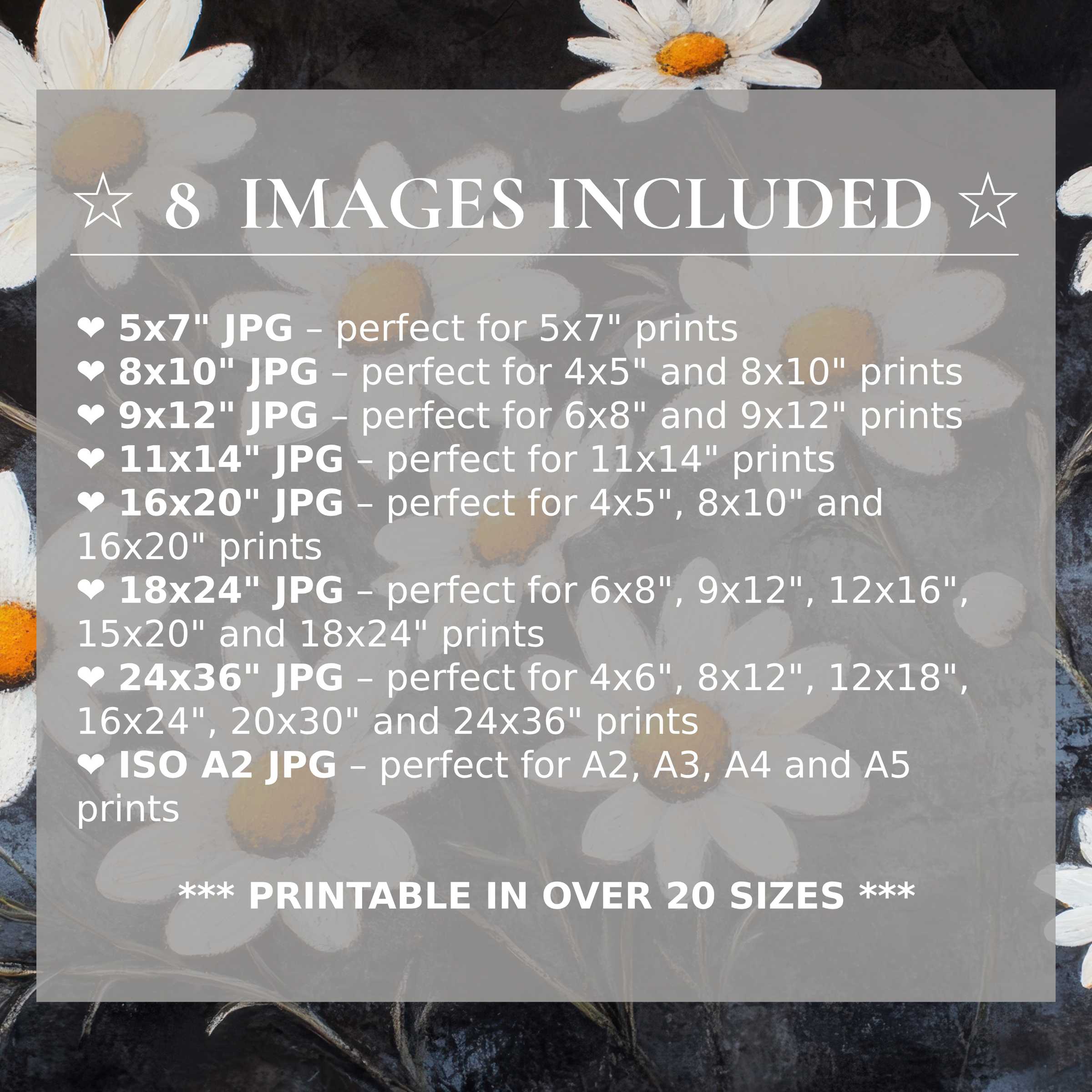 Radiant floral digital print with soft white petals and warm amber centers, available in 8 high-quality sizes to elevate modern interiors with timeless style and versatile elegance