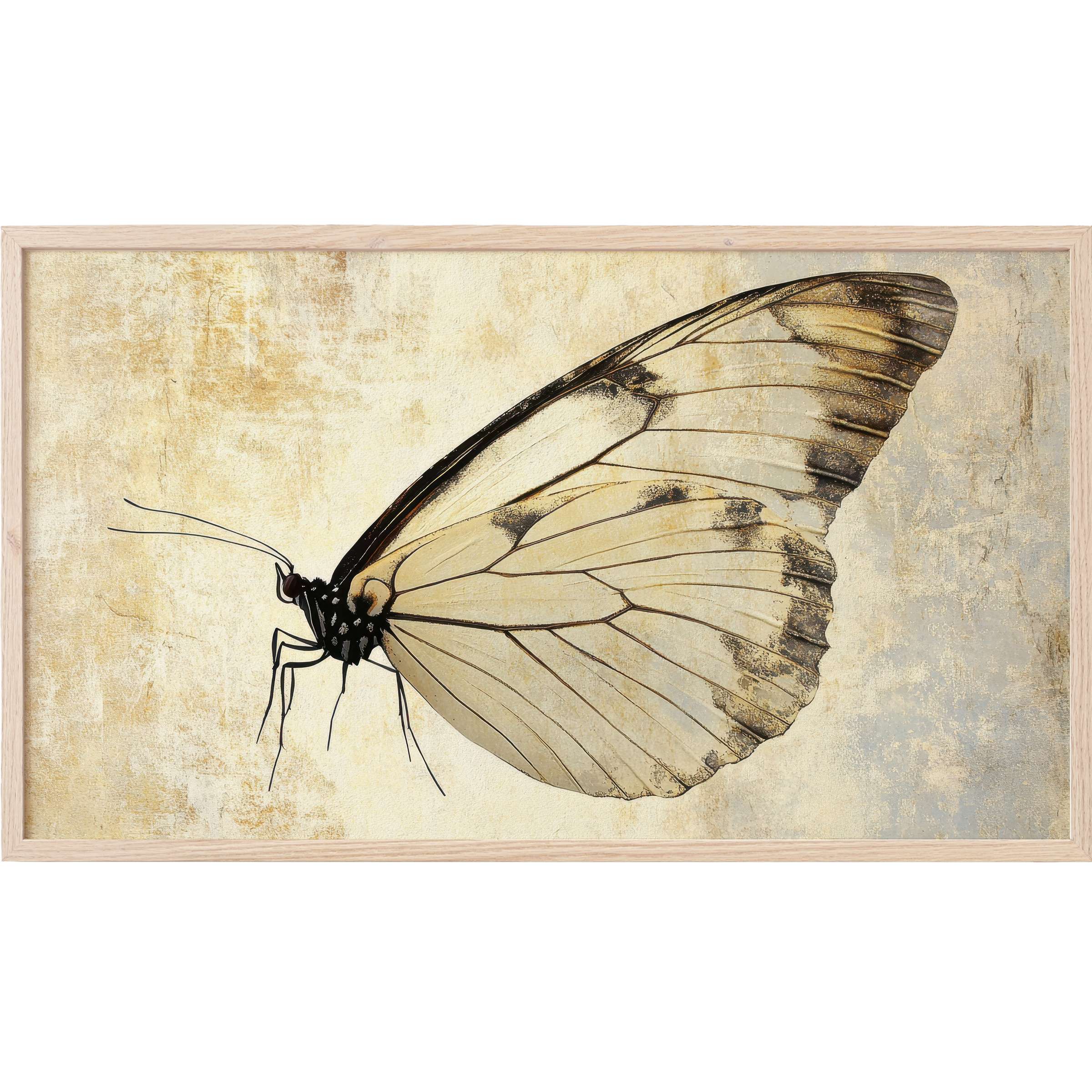 Elegant butterfly wing illustration in muted beige and black tones with textured backdrop, minimalist Frame TV Art
