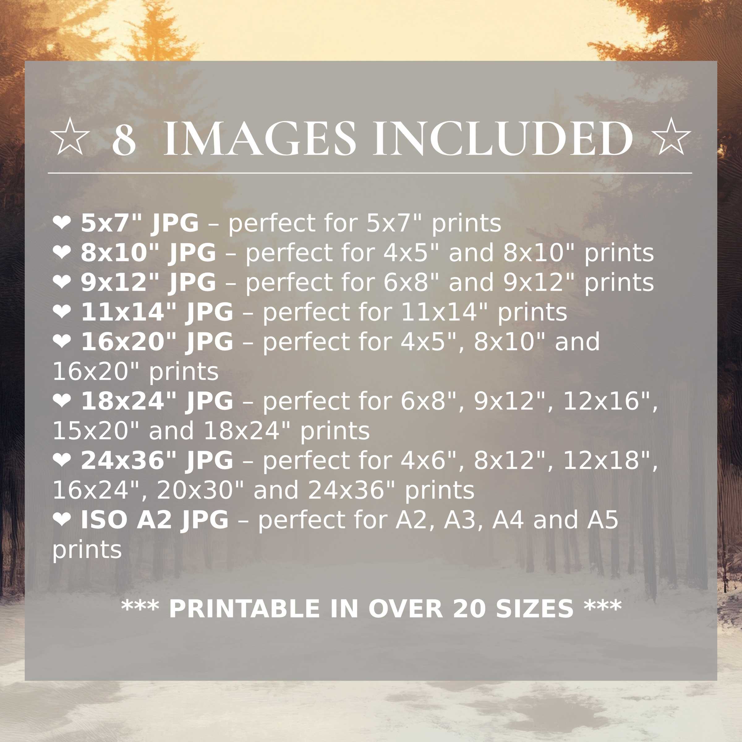 Radiant winter digital print in warm amber and soft neutrals, offered in 8 high-quality sizes to elevate modern interiors with versatile elegance