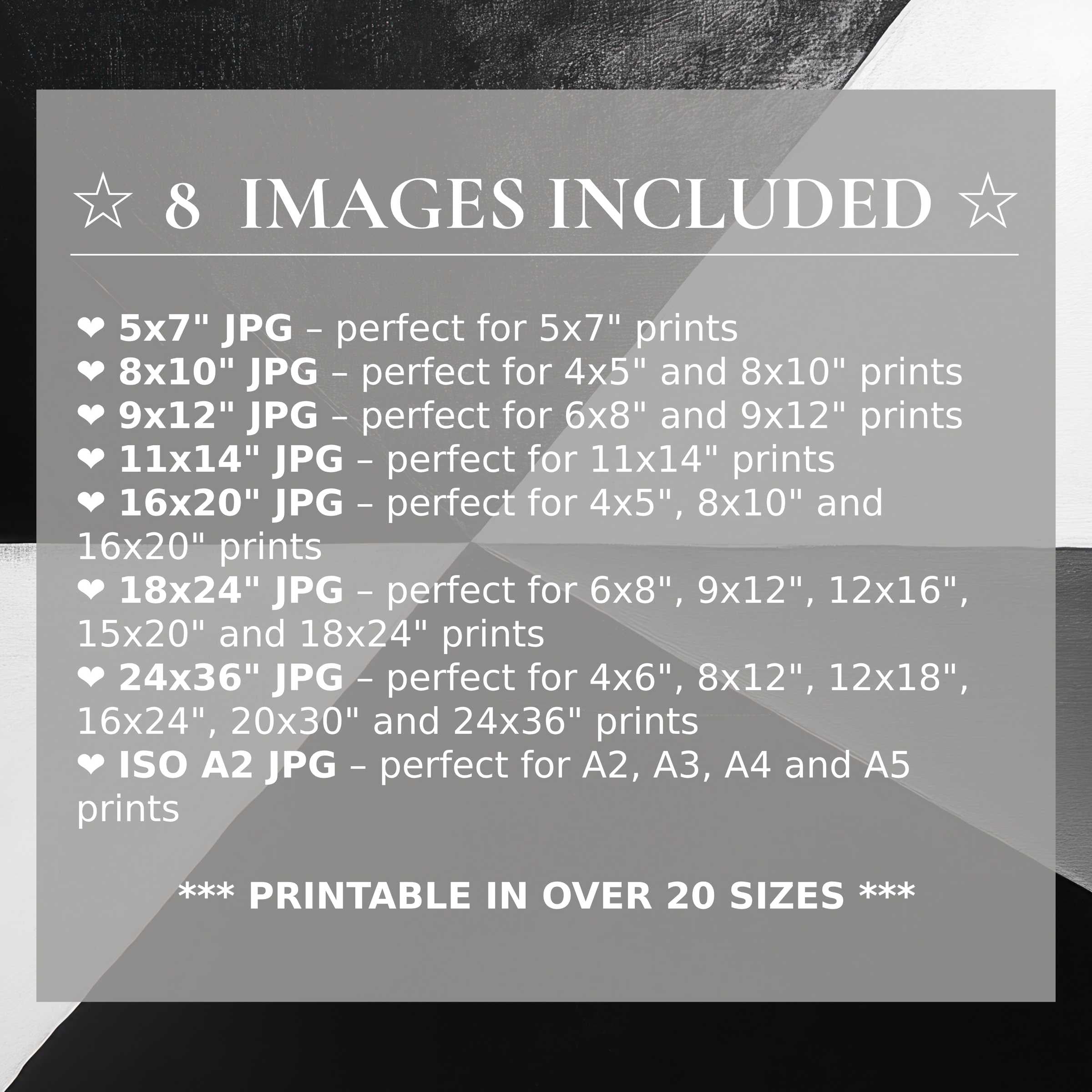 Modern digital print with radiant monochrome contrasts in black, white, and gray, offered in 8 high-quality sizes included with download to elevate sleek interiors with timeless style and versatile elegance