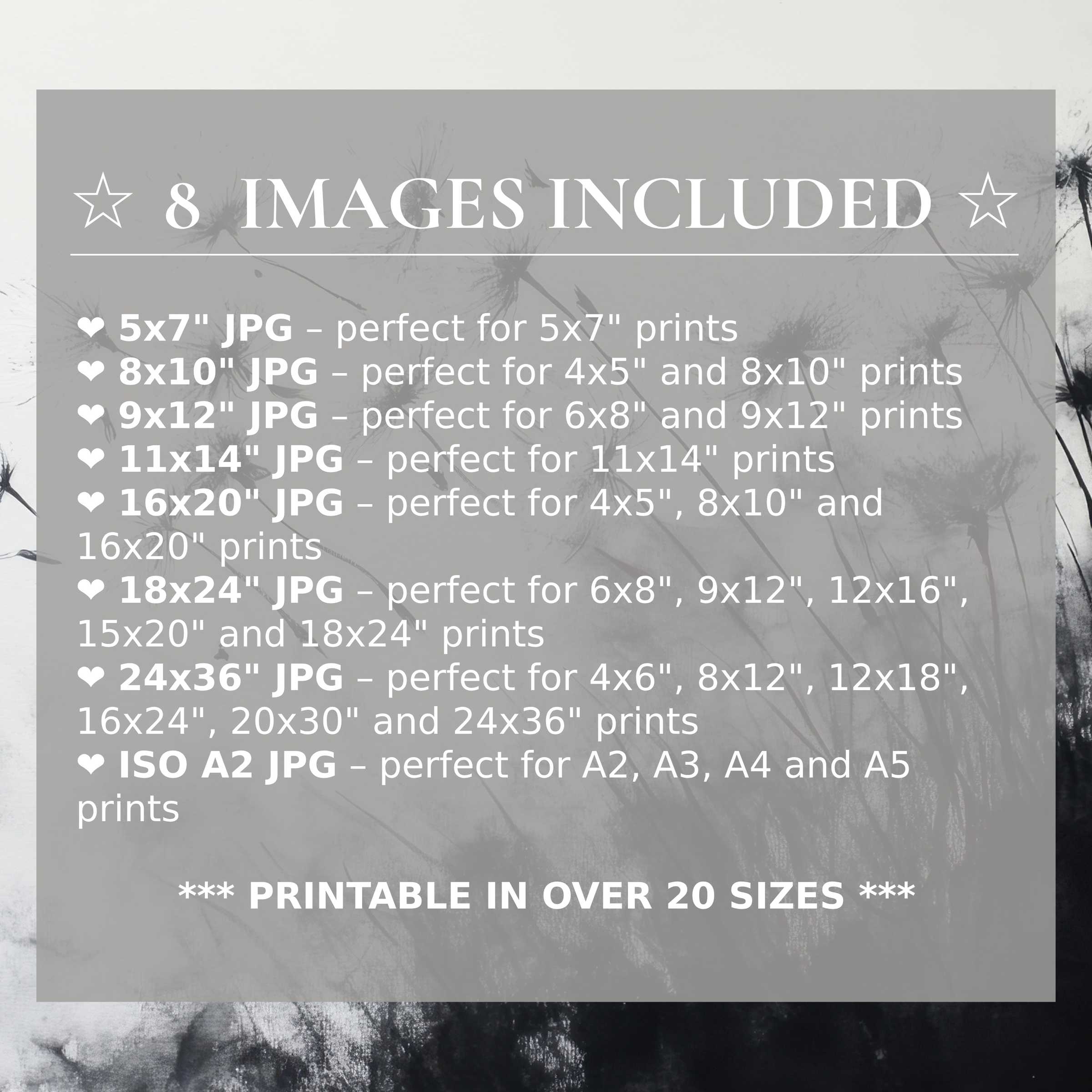 Elevate modern interiors with a bold black and white digital print, radiating timeless elegance in 8 high-quality sizes included