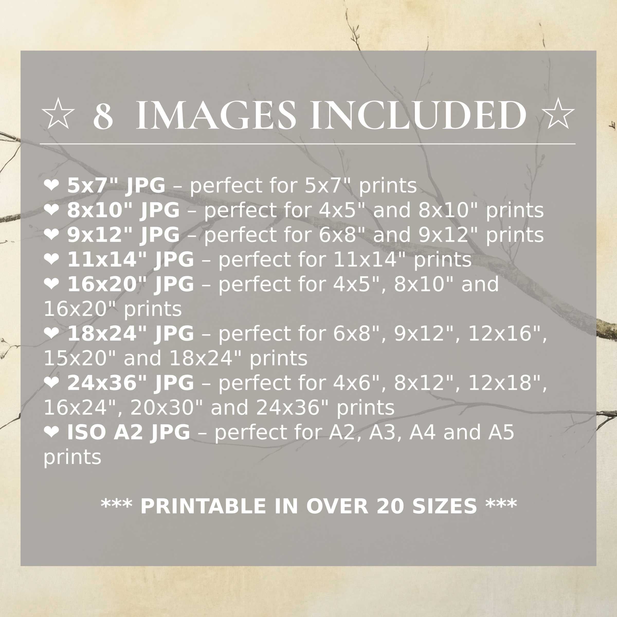 Neutral digital print exudes calming taupe and soft beige tones, elevating modern interiors with versatile style in 8 premium sizes