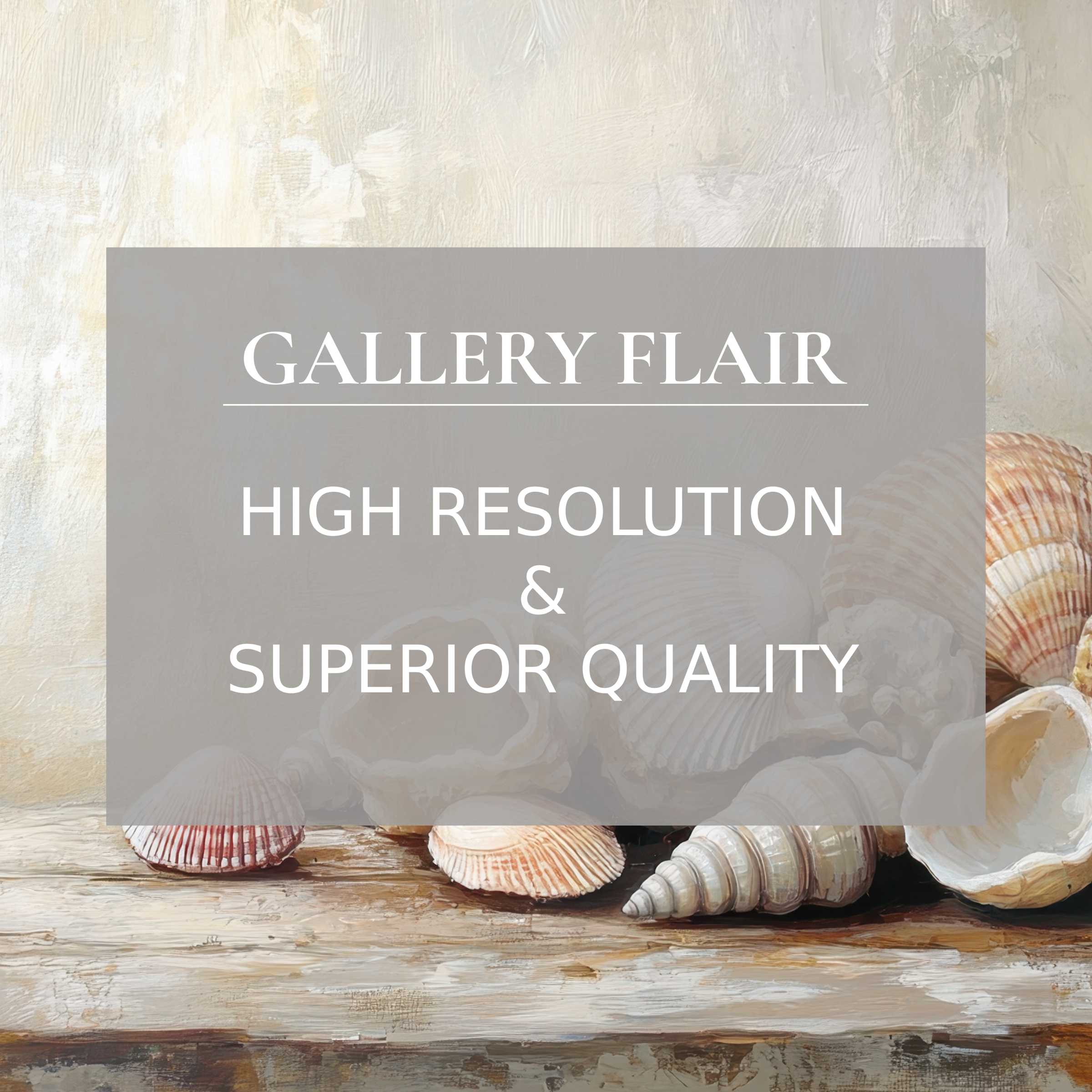 Elegant coastal Frame TV picture showcasing finely detailed seashells in high resolution with crisp, clear visual quality