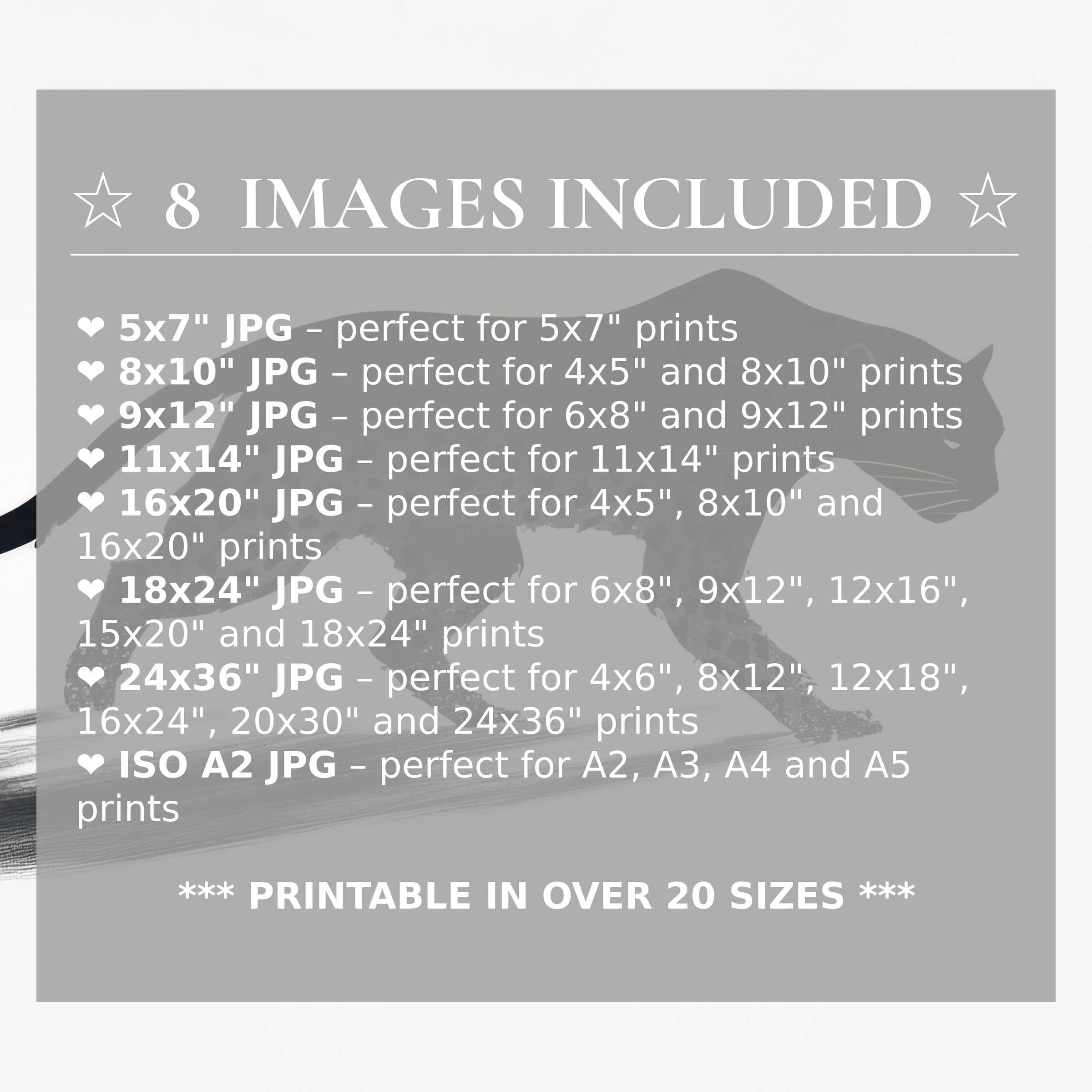 Black and white digital print radiates bold elegance, available in 8 high-quality sizes with download, perfect for elevating modern interiors