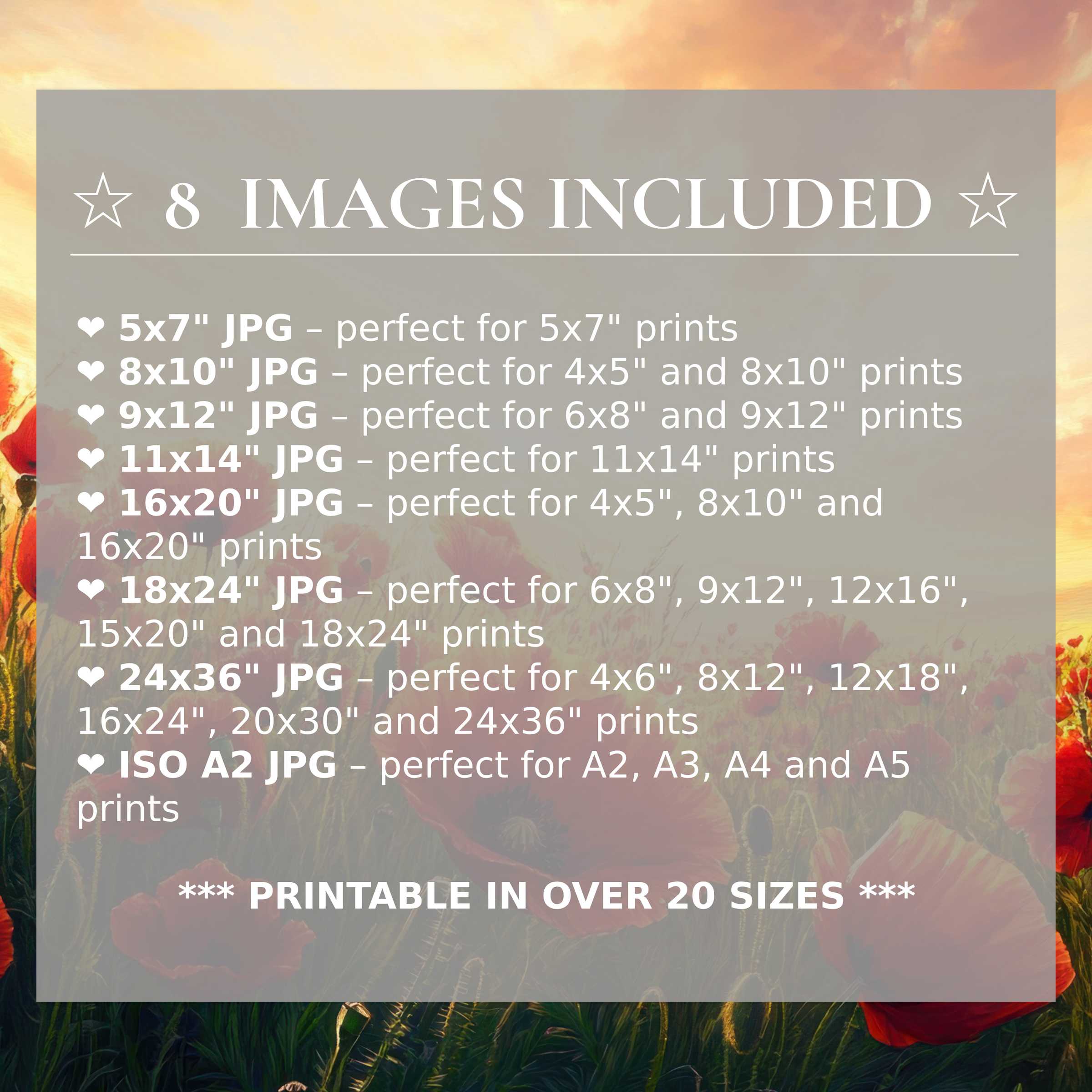 Radiant floral digital print in warm sunset hues, included in 8 high-quality sizes for versatile, elegant modern interiors