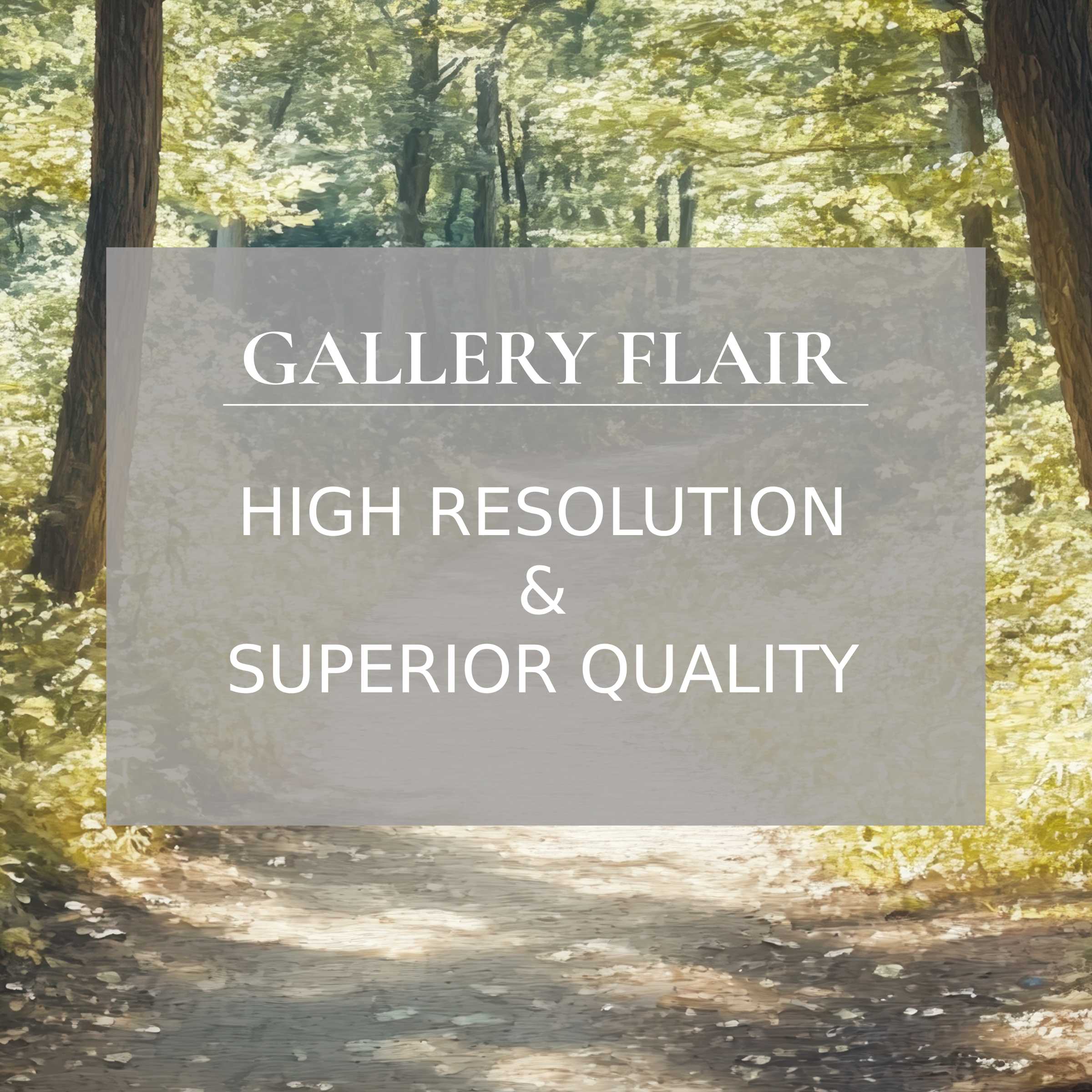 Elegant, high-resolution summer Frame TV picture of a sunlit forest path, showcasing refined clarity and natural colors