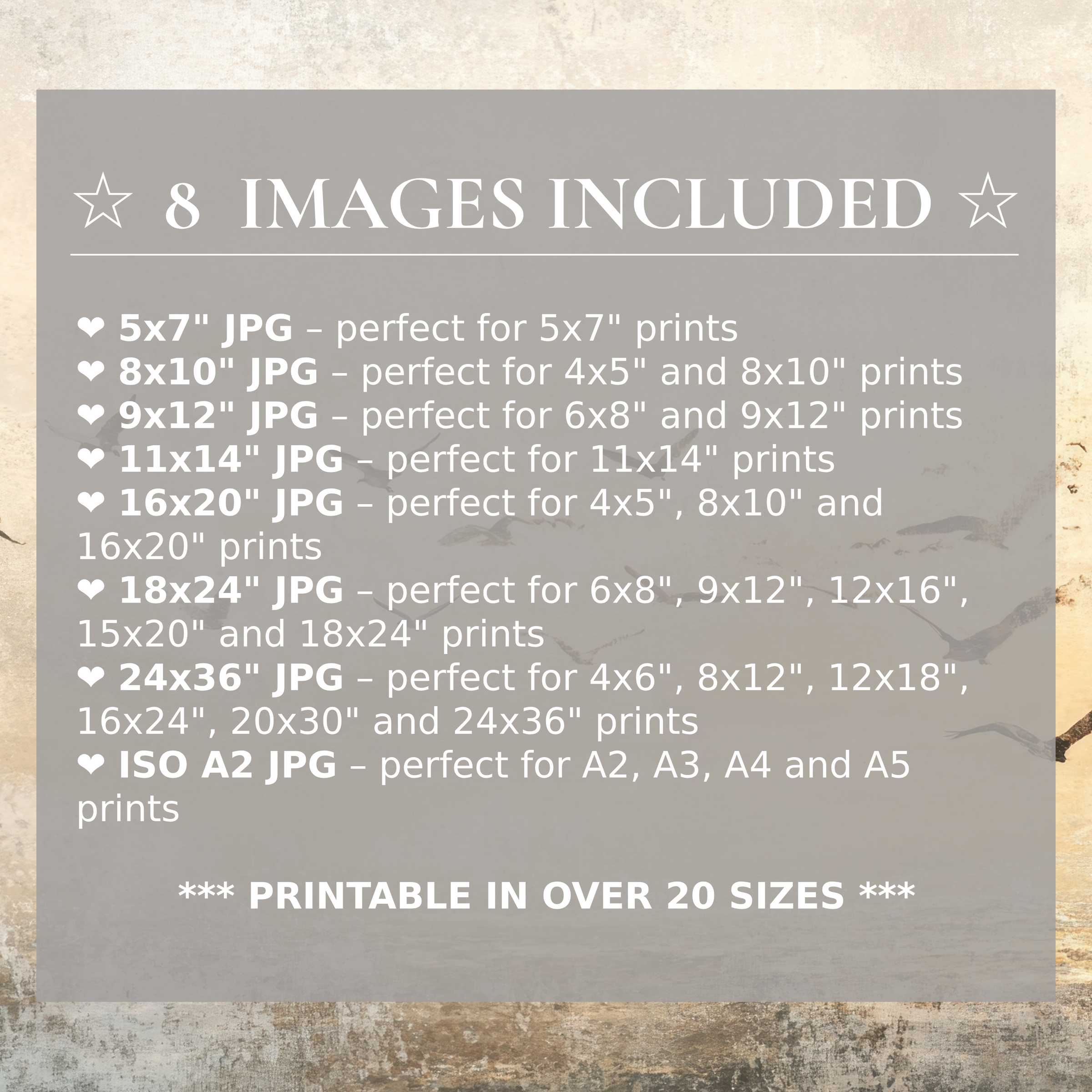Vintage digital print radiates warm neutrals and soft grays, included in 8 high-quality sizes for refined, versatile modern interiors