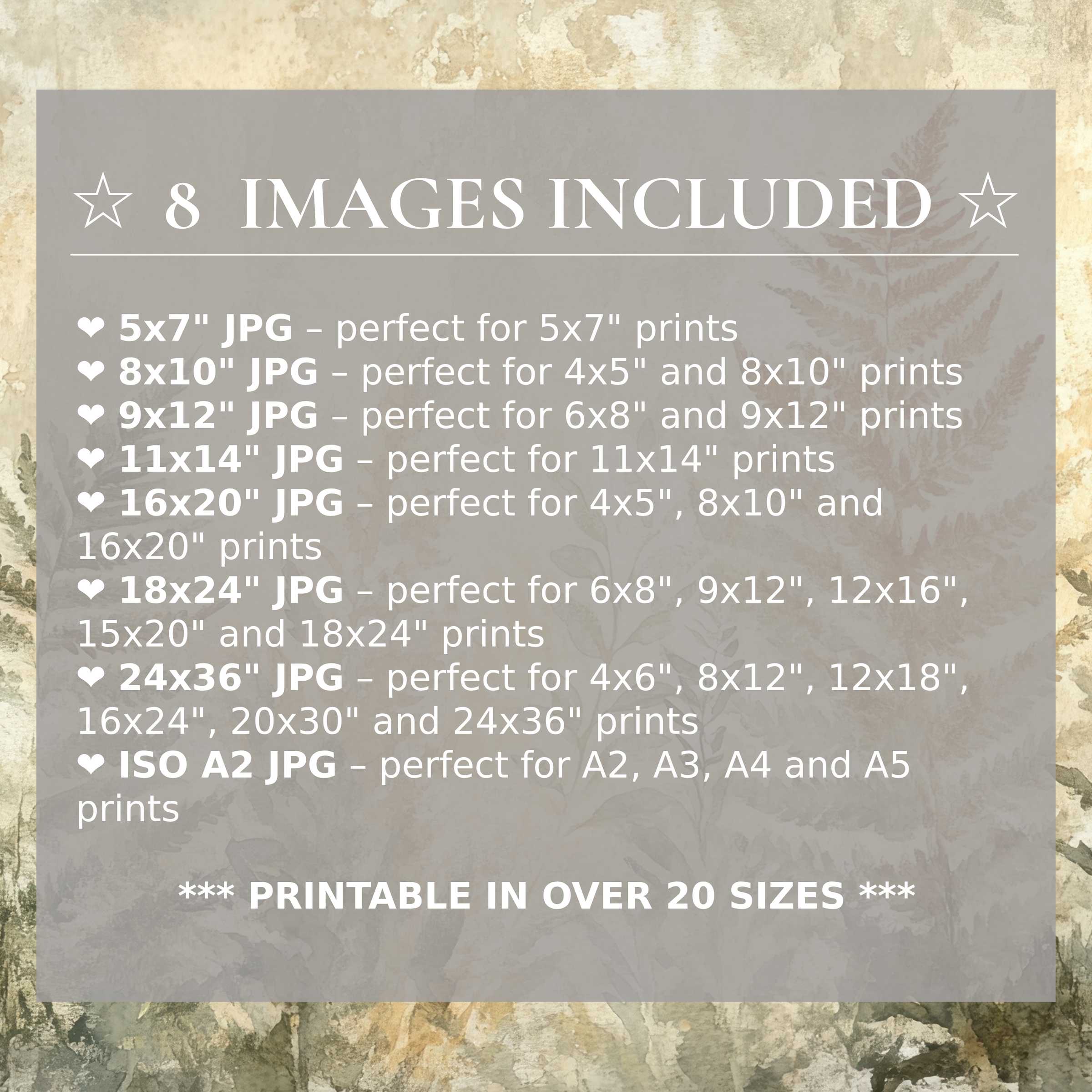 Botanical digital print in serene earth tones exudes radiant calm, elevating modern interiors with style and versatility - includes 8 high-quality sizes