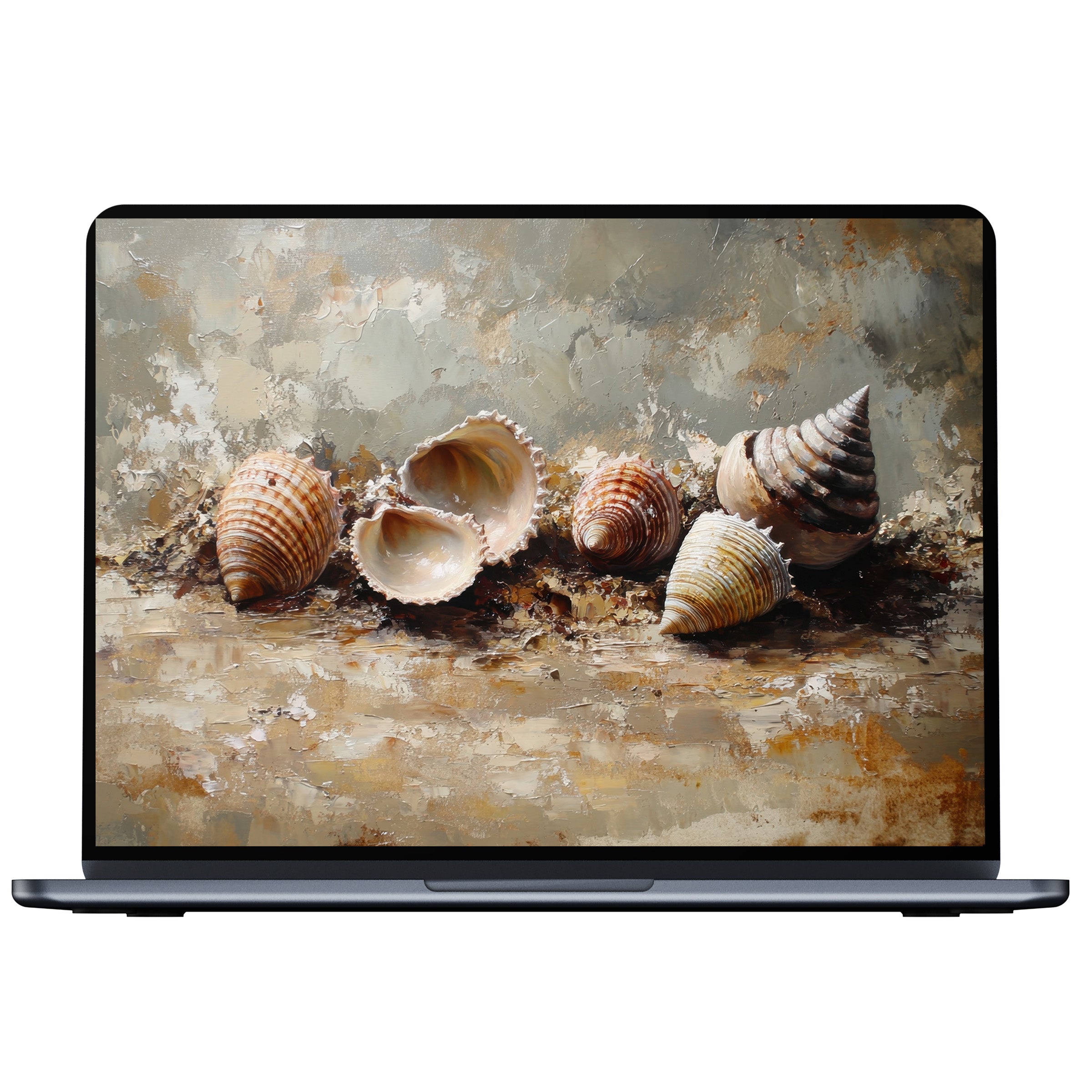 Elegant beach desktop wallpaper for PC and laptop featuring serene shells on a textured canvas digital download art piece