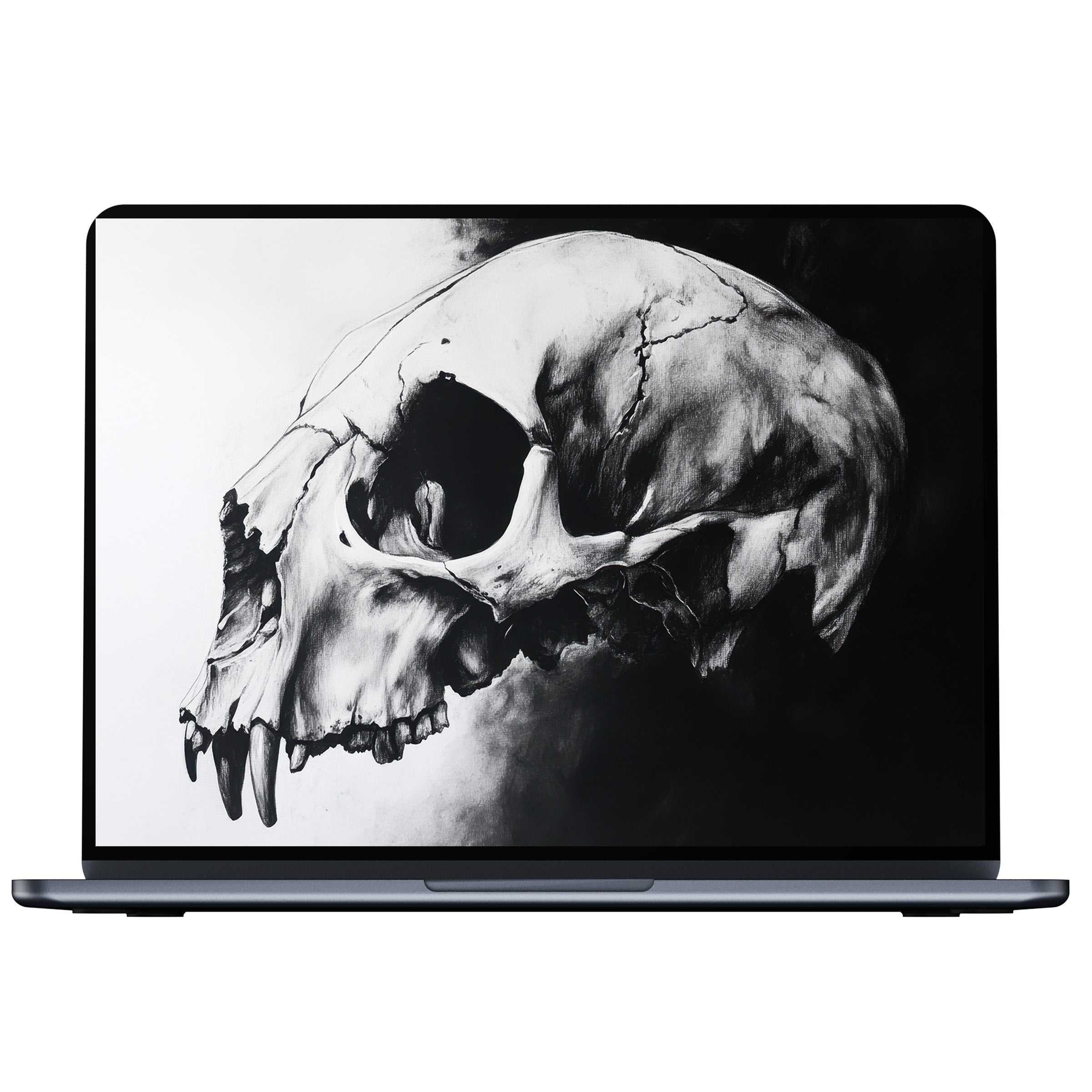 Black and white desktop wallpaper digital download showcasing a detailed skull, perfect for inspiring calm on any PC or laptop screen