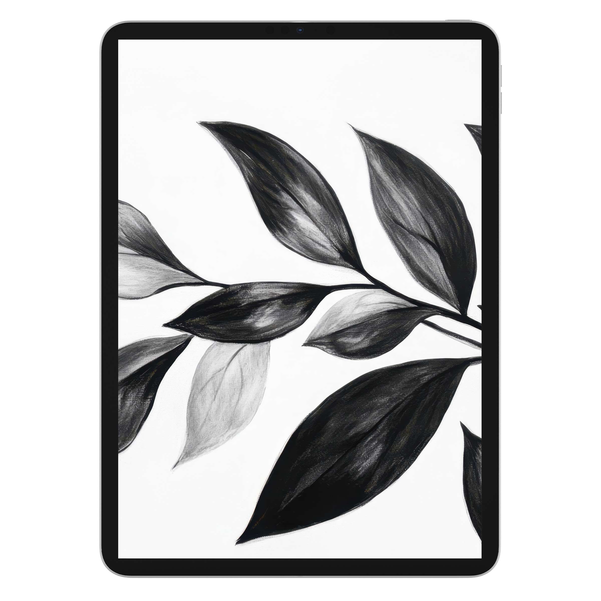 Elegant black and white iPad wallpaper with minimalist leaf design, perfect digital download background for tablets and serenity seekers