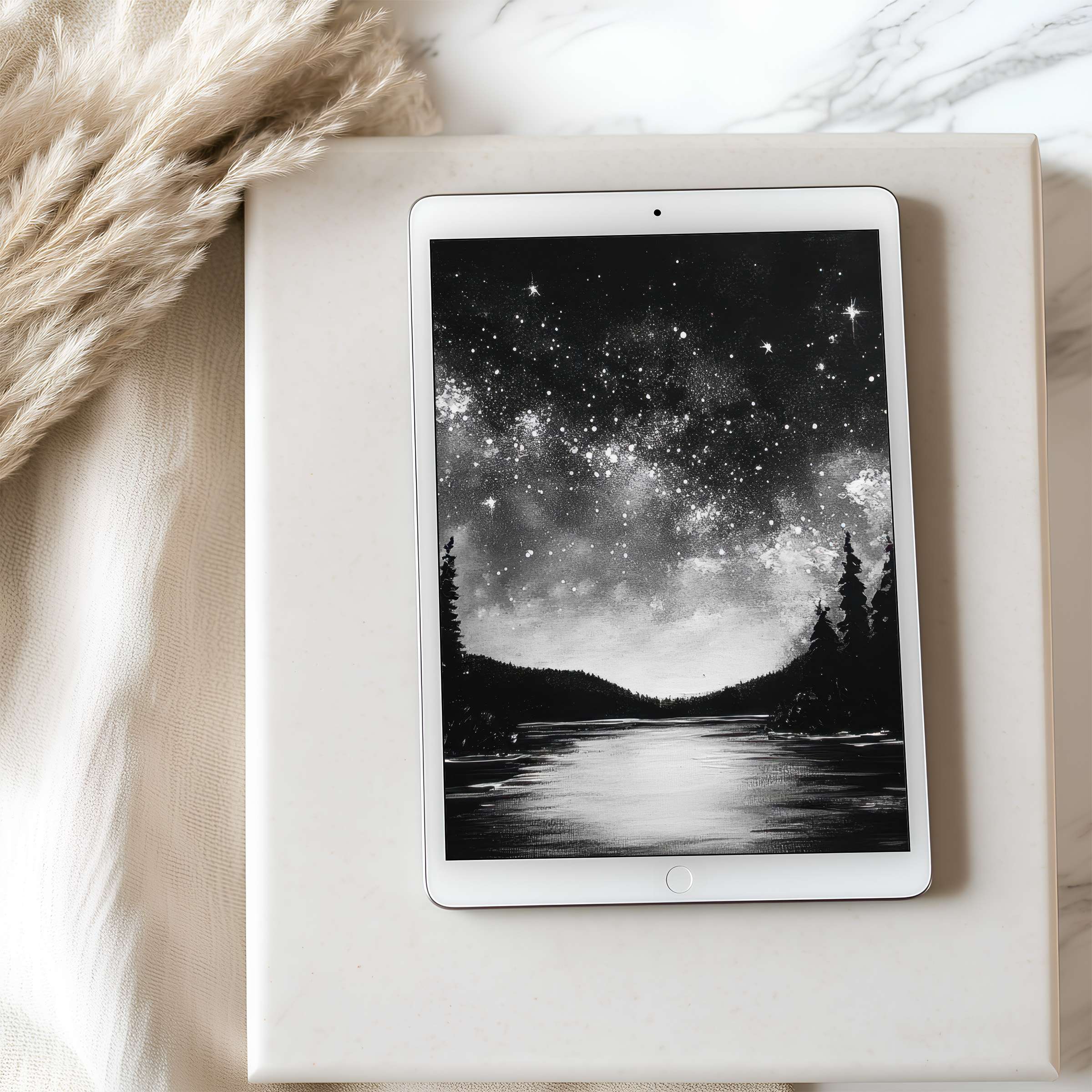 Dreamy monochrome landscape tablet wallpaper set against an elegant interior offers high-resolution visuals for iPad and Android users