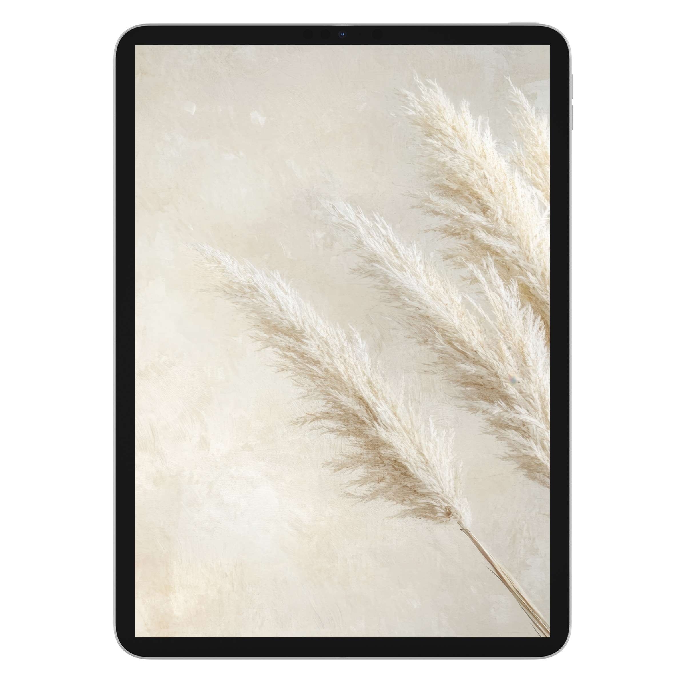 Elegant boho iPad wallpaper featuring soft beige pampas grass for calming digital download background on tablet devices