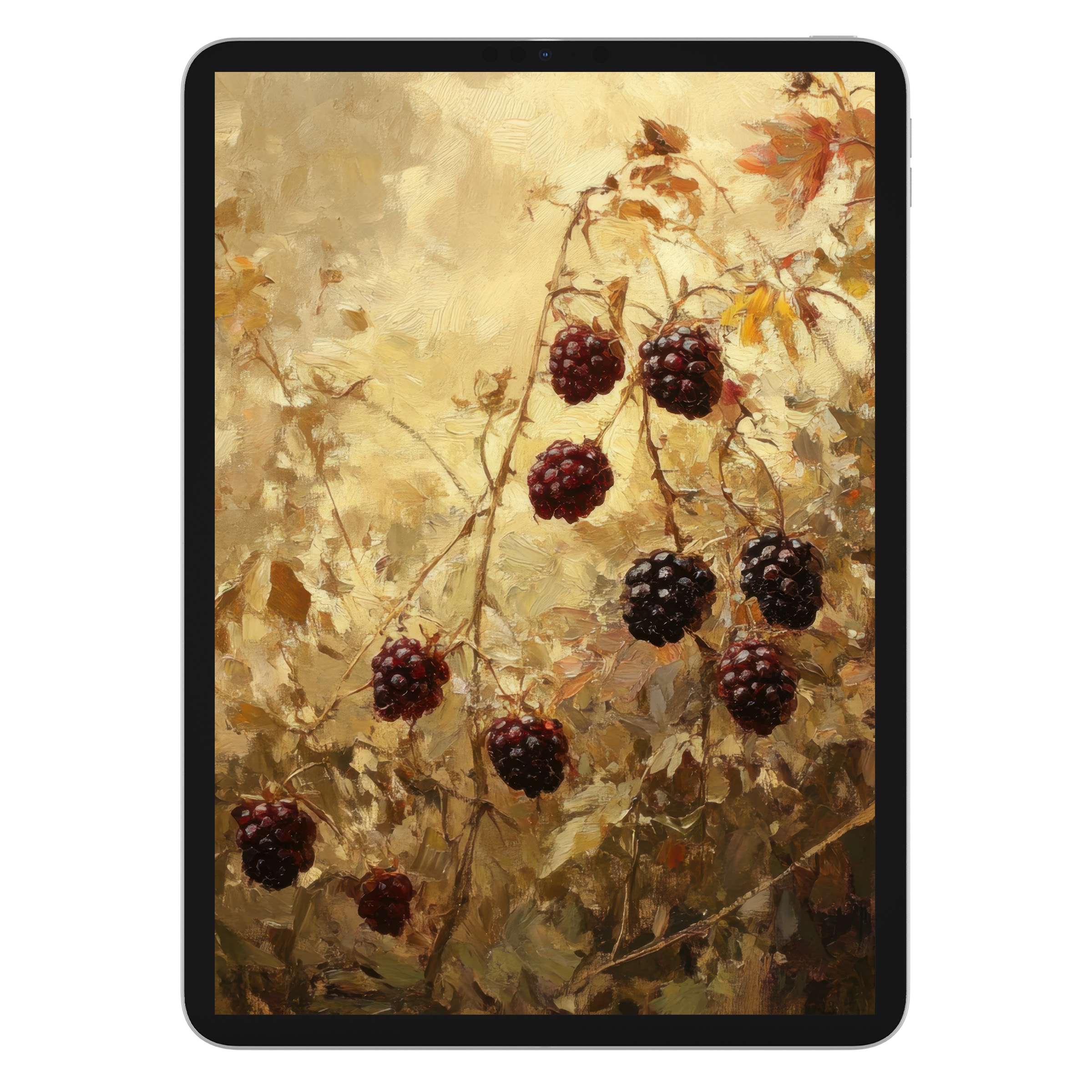 Elegant botanical iPad wallpaper featuring ripe blackberries on a textured background, ideal digital download for tablet design lovers