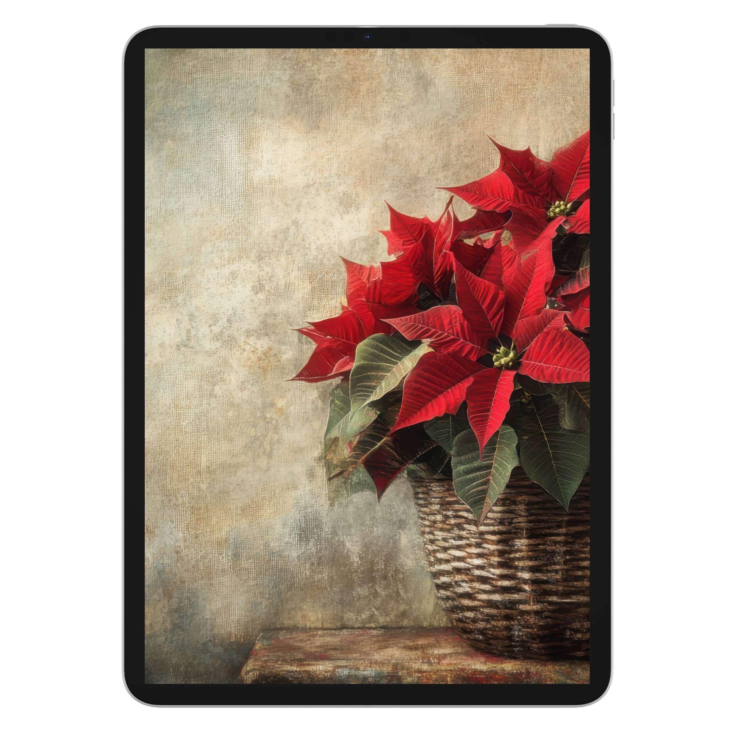 Elegant christmas iPad wallpaper digital download featuring vibrant poinsettias in a rustic basket, perfect tablet background for tranquility