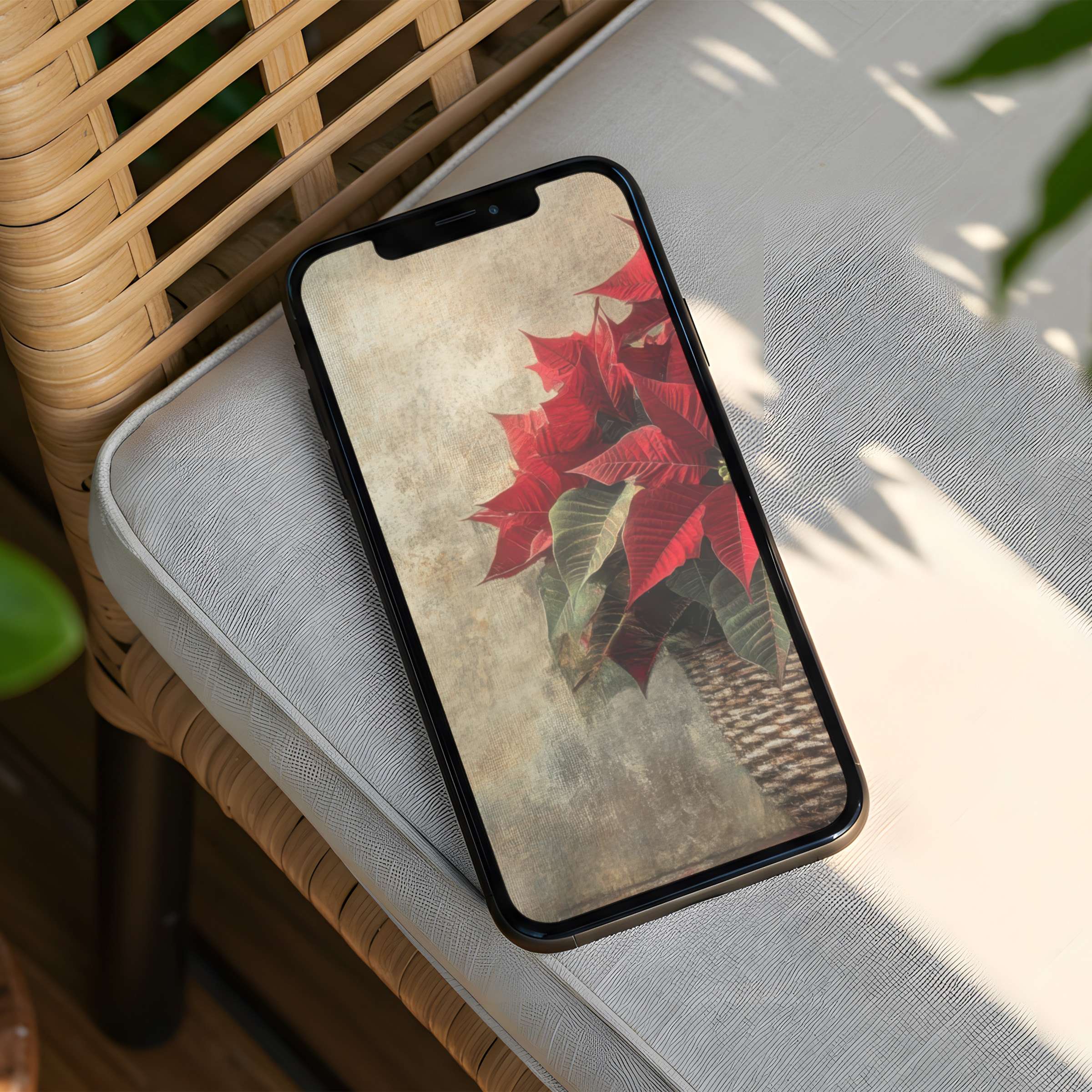 Elegant iPhone background featuring calming poinsettia art for instant download on phone, enhancing mindfulness and design harmony