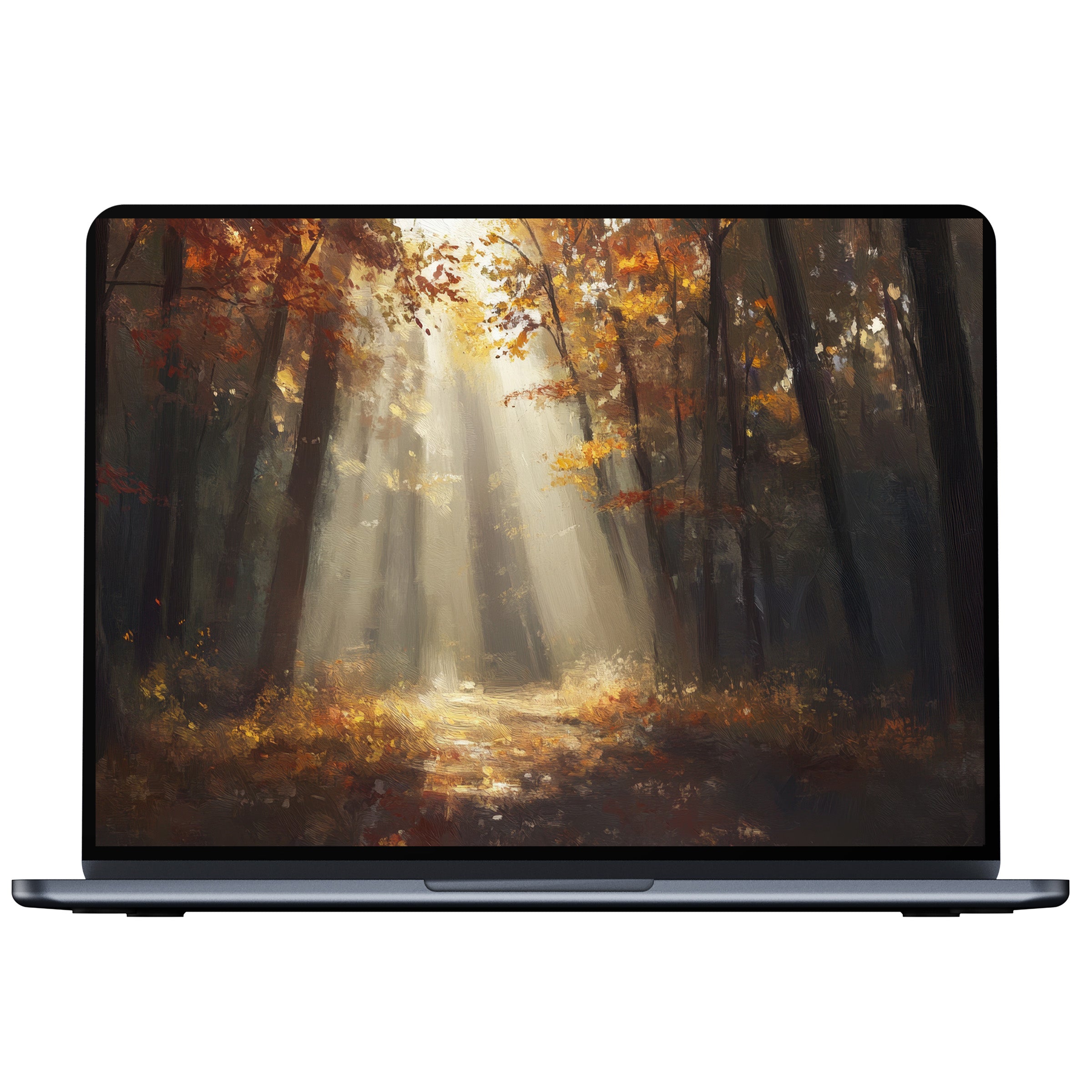 Elegant fall desktop wallpaper digital download for PC and laptop featuring sunlit forest path with autumn leaves and warm tones