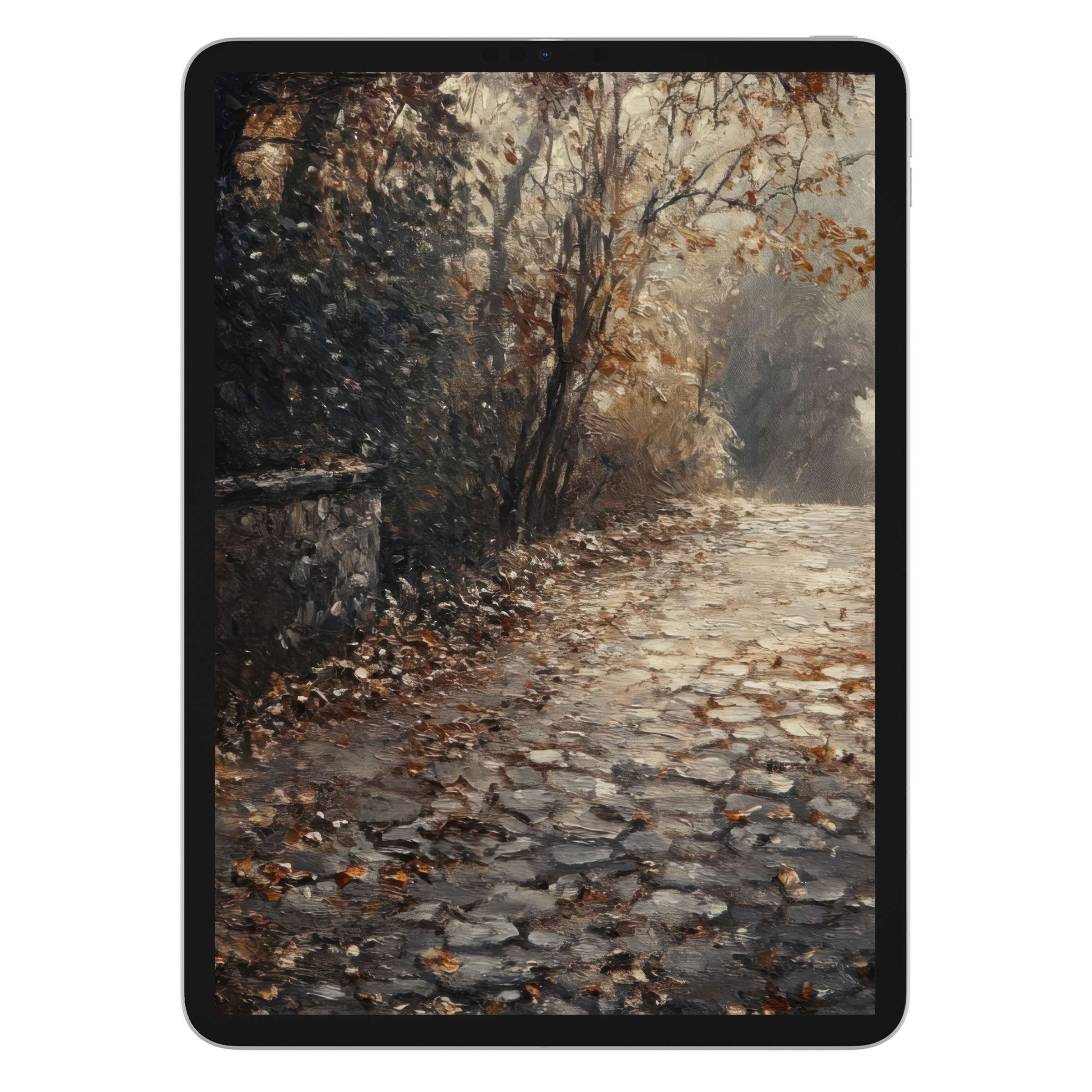 Fall iPad wallpaper featuring a serene pathway with autumn leaves, ideal as a digital download, offering a tranquil tablet background