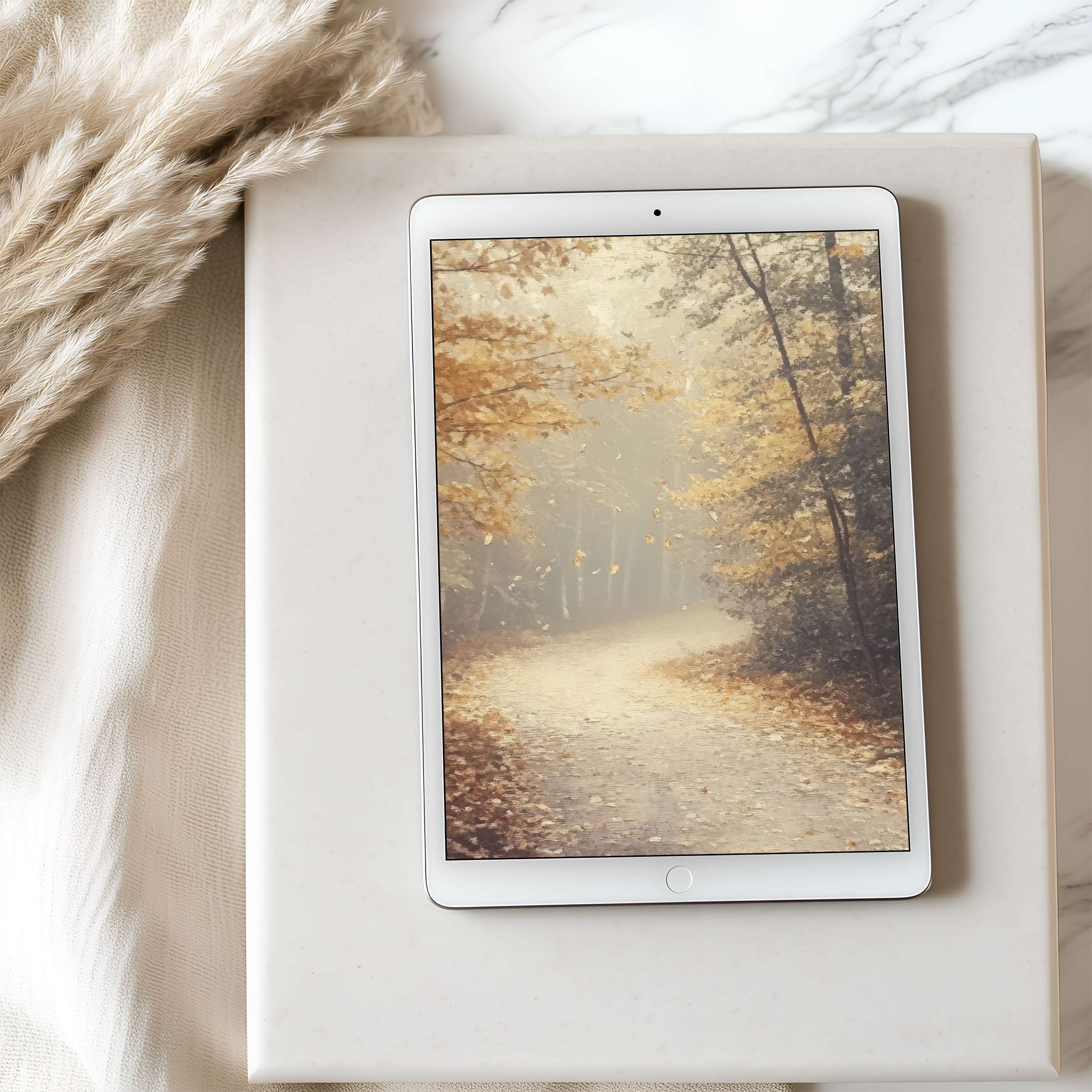Elegant autumn path tablet wallpaper on iPad offers high resolution digital download for serene design-conscious interiors appealing to calm aesthetics