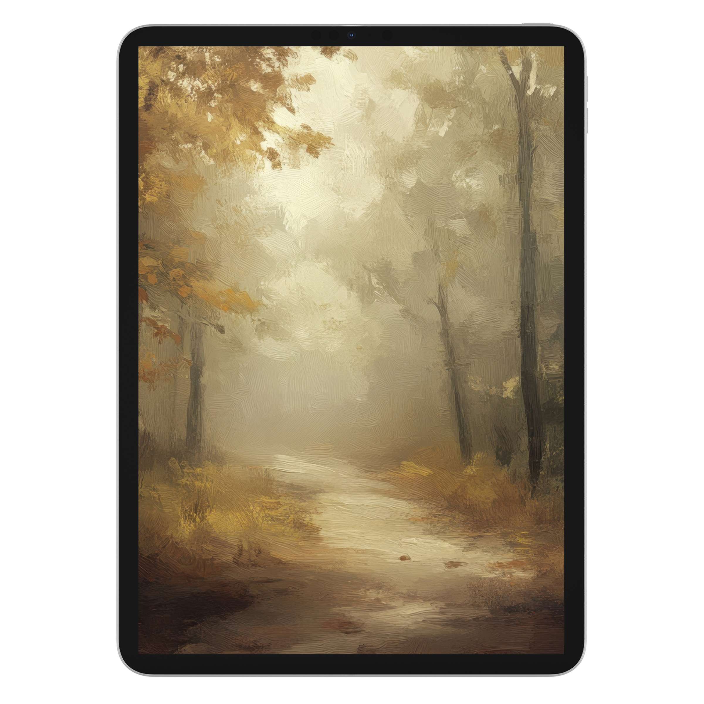 Misty forest path in muted fall colors creates a serene fall iPad wallpaper for tablet backgrounds; digital download for tranquility