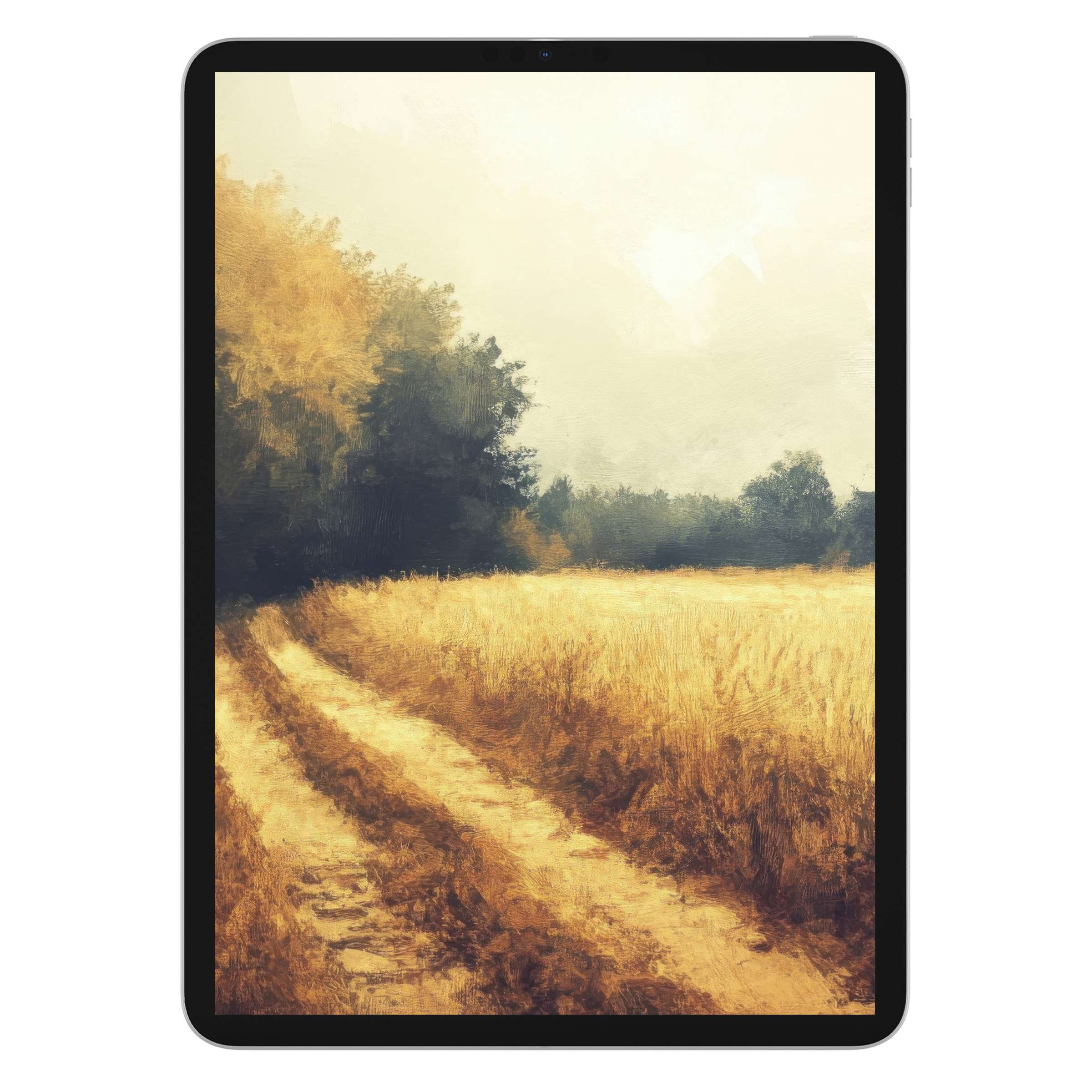 Serene fall iPad wallpaper with golden fields and soft hues creates a soothing tablet background, available as a digital download