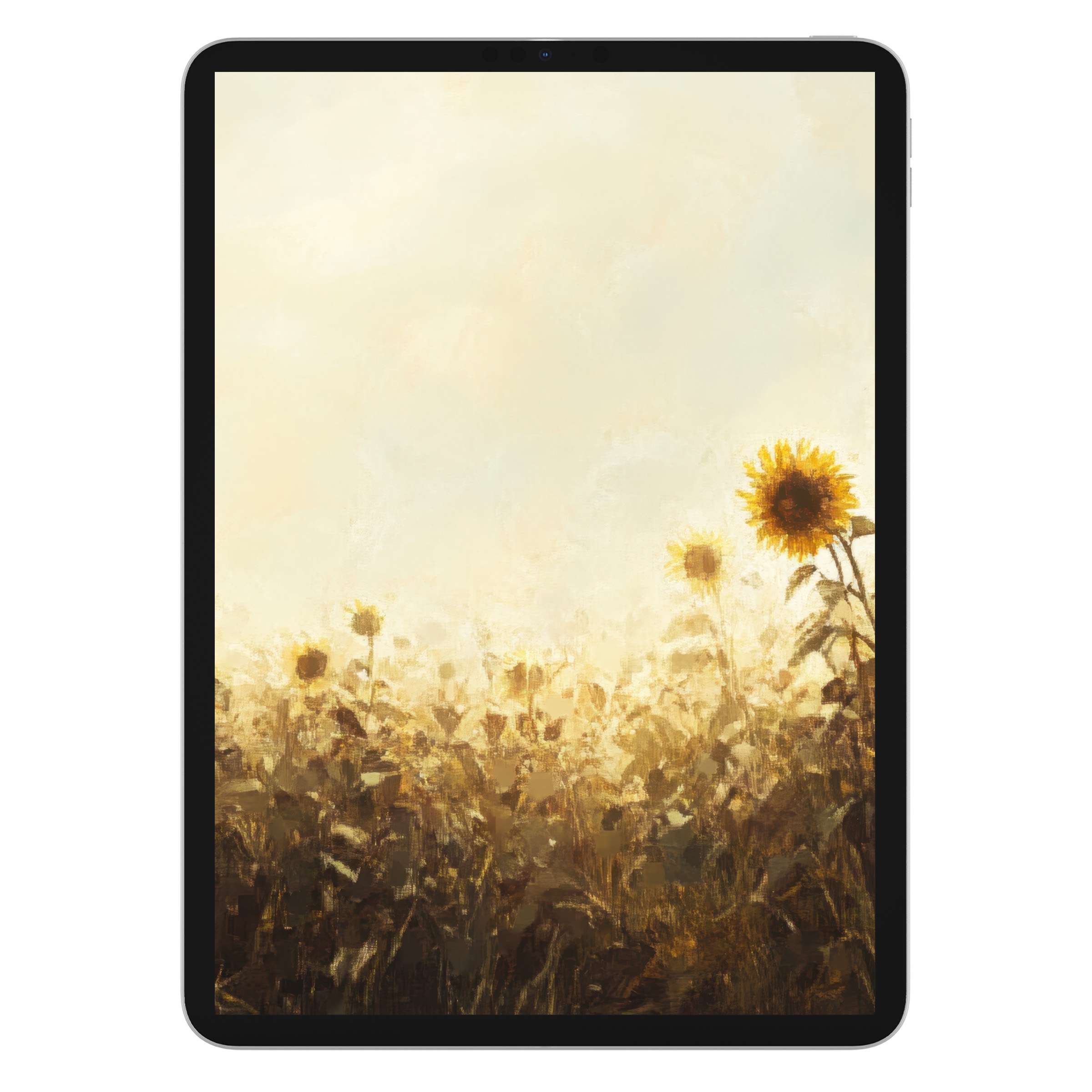 Sunlit sunflower field fall iPad wallpaper with soft hues and painterly textures brings tranquility to your tablet background digital download