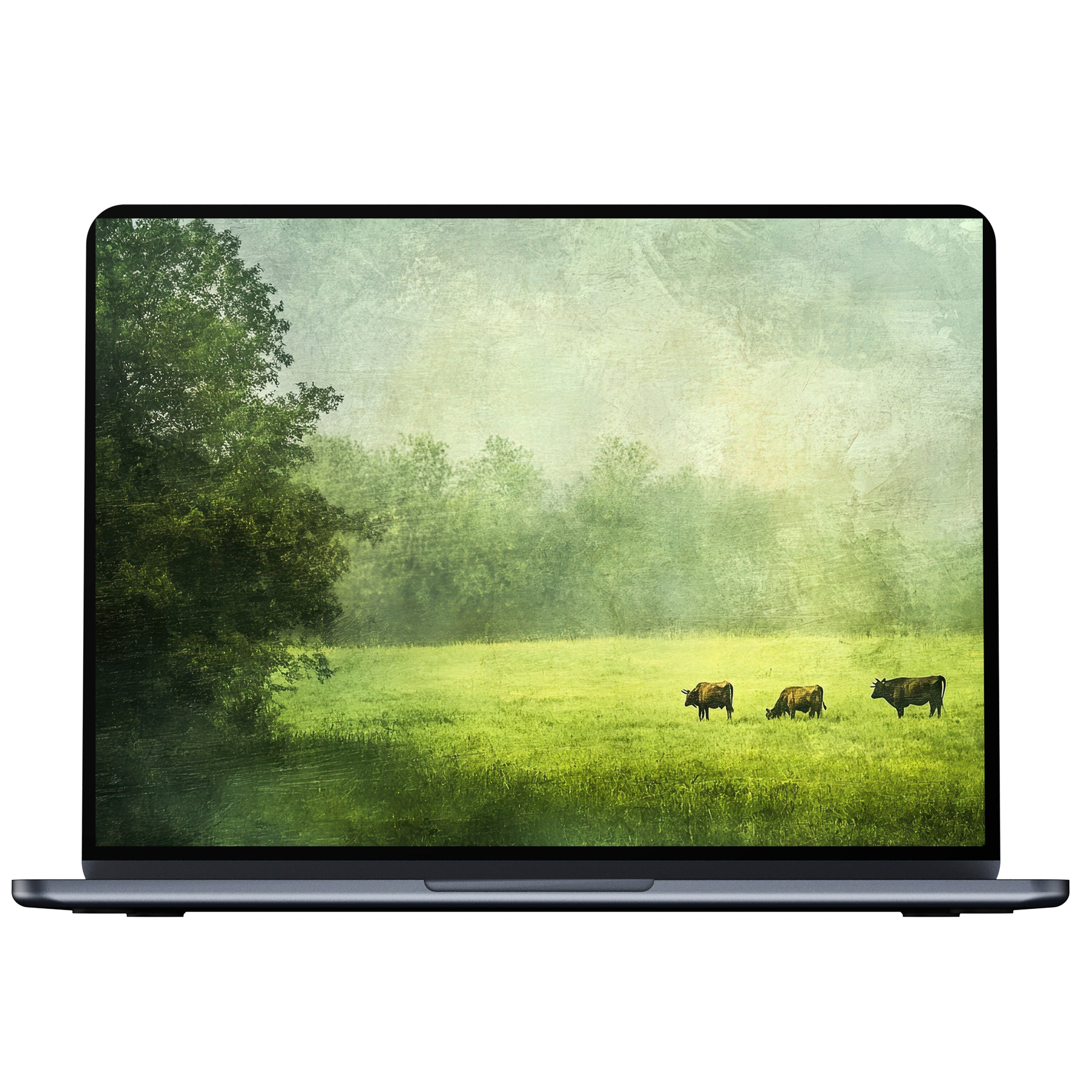 Farmhouse desktop wallpaper for PC and laptop digital download features serene cows grazing in a lush meadow under a misty sky