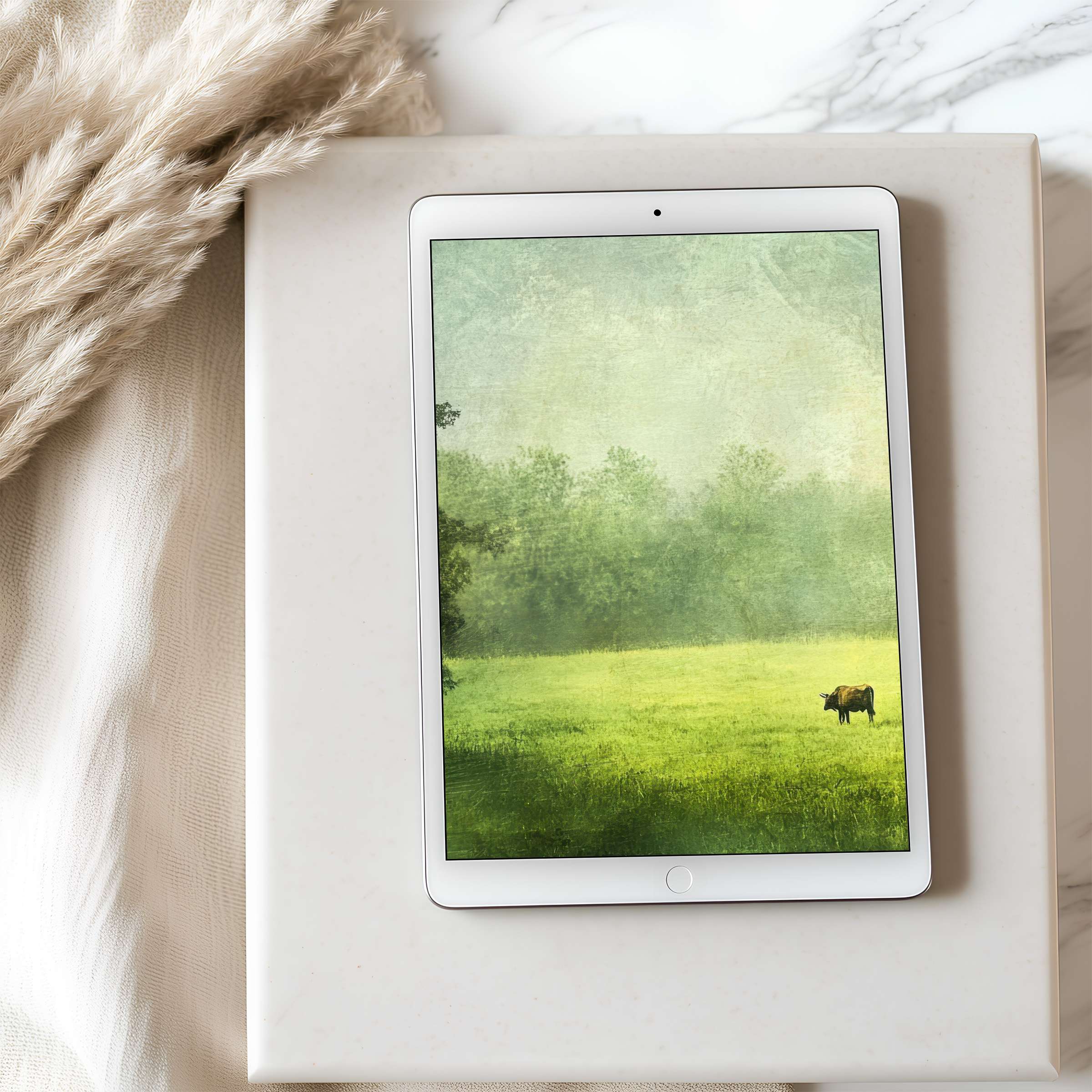 Tranquil green field and lone cow captured in high resolution tablet wallpaper perfect for iPad or Android download enhancing calm spaces