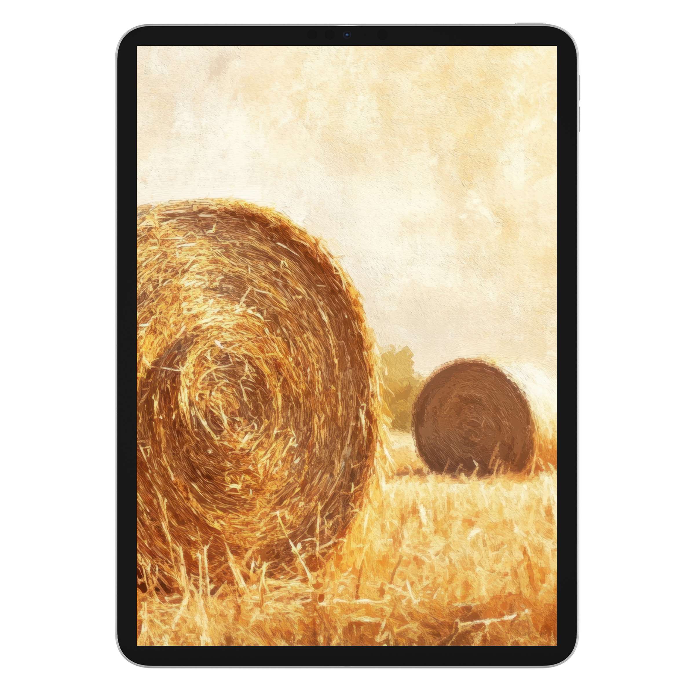 Farmhouse iPad wallpaper digital download with elegant hay textures offers a serene background for tablets like Samsung or Android