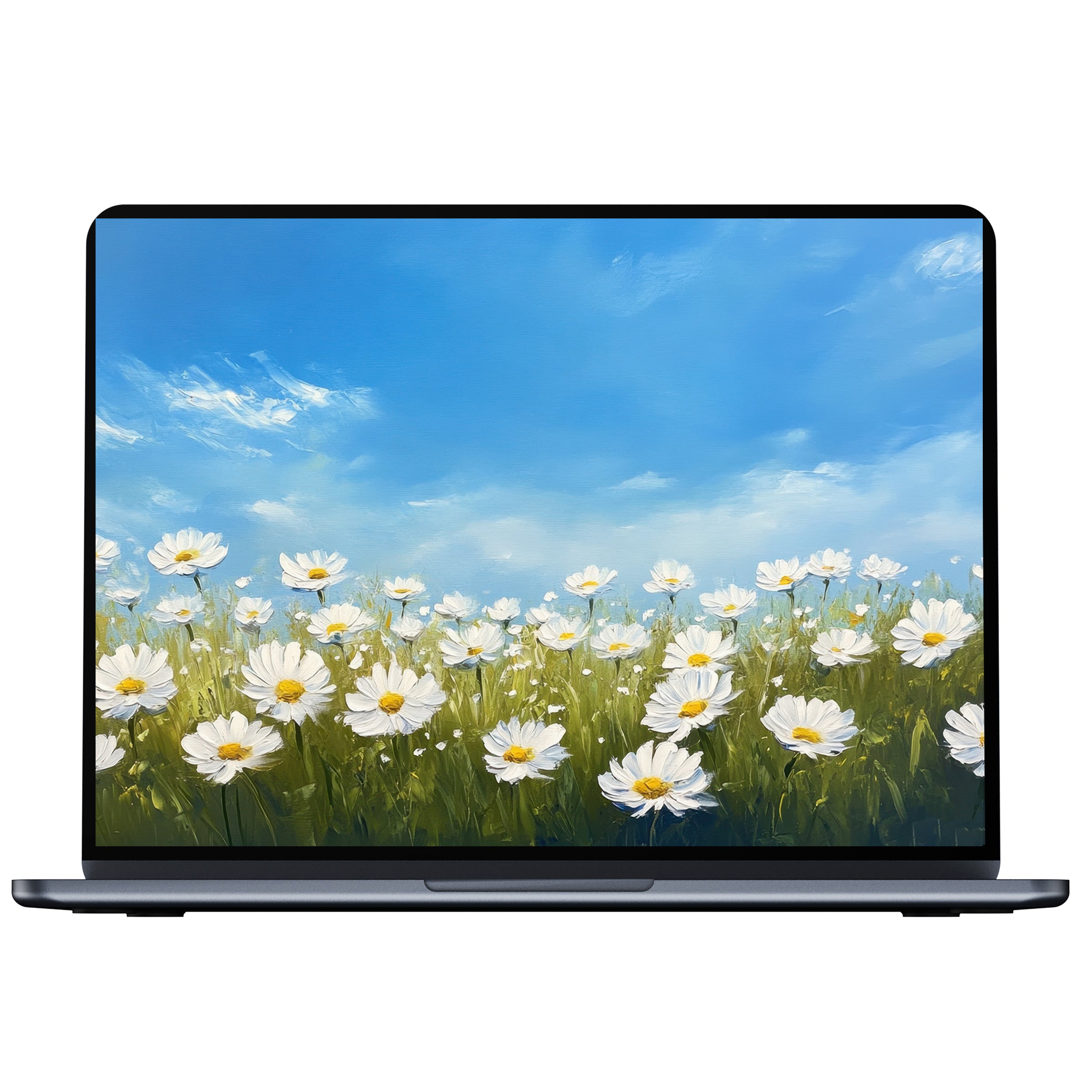 Floral desktop wallpaper digital download featuring serene daisies under a clear blue sky inspires calm on PC, Laptop, or Mac