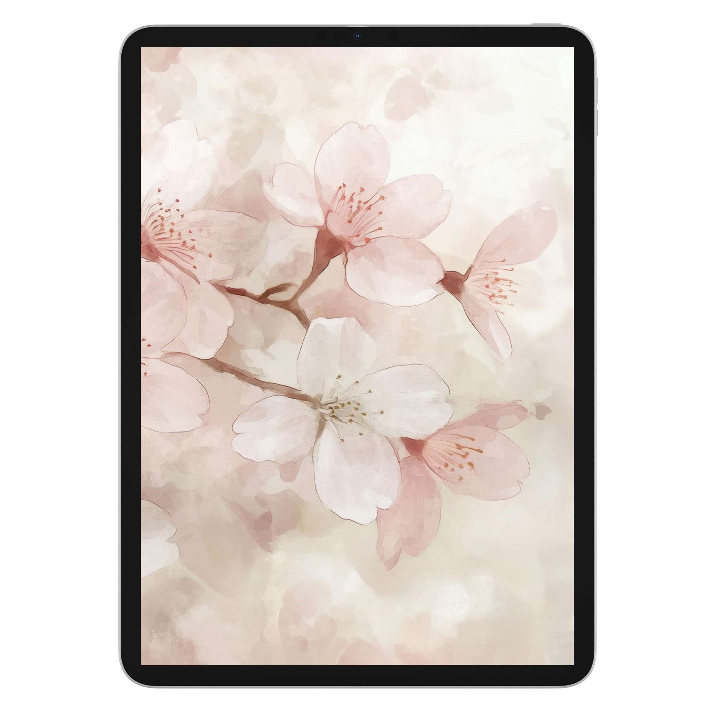 Elegant floral iPad wallpaper features soft pink cherry blossoms on a watercolor background, perfect digital download for tablets