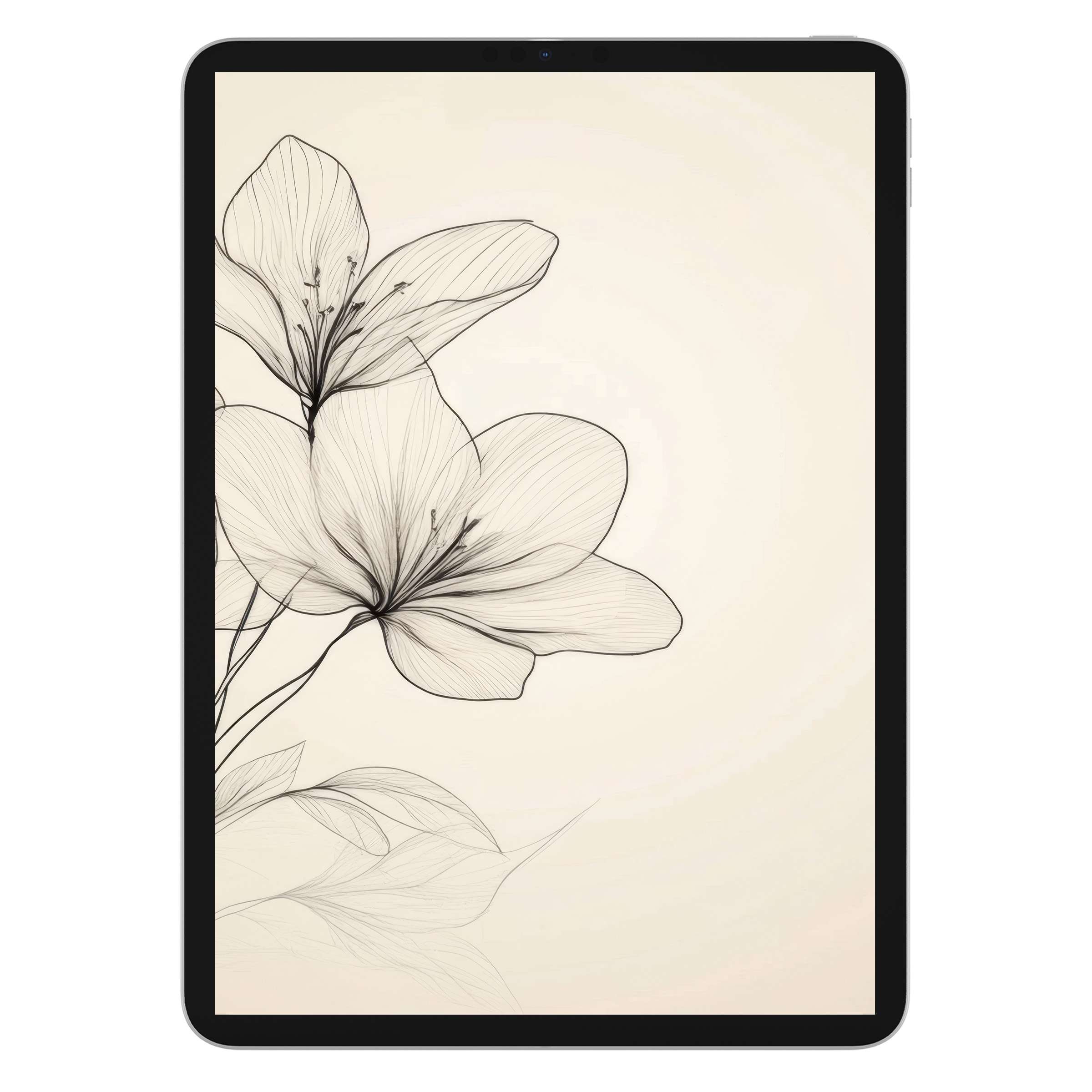 Elegant floral iPad wallpaper featuring delicate black line art on a soft cream background offers a serene digital download for tablets