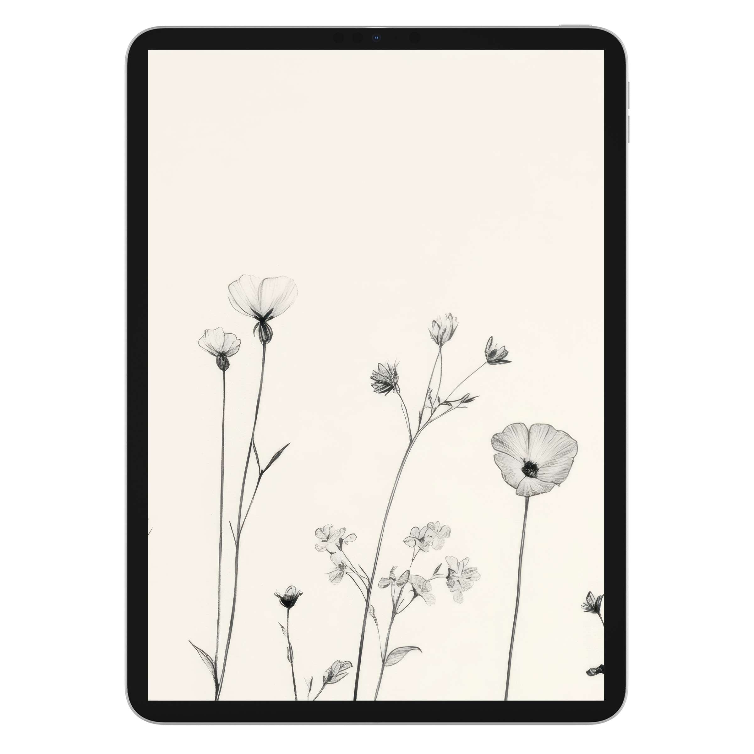 Elegantly minimal floral iPad wallpaper offers a serene digital download for a calming, stylish tablet background enhancing aesthetics