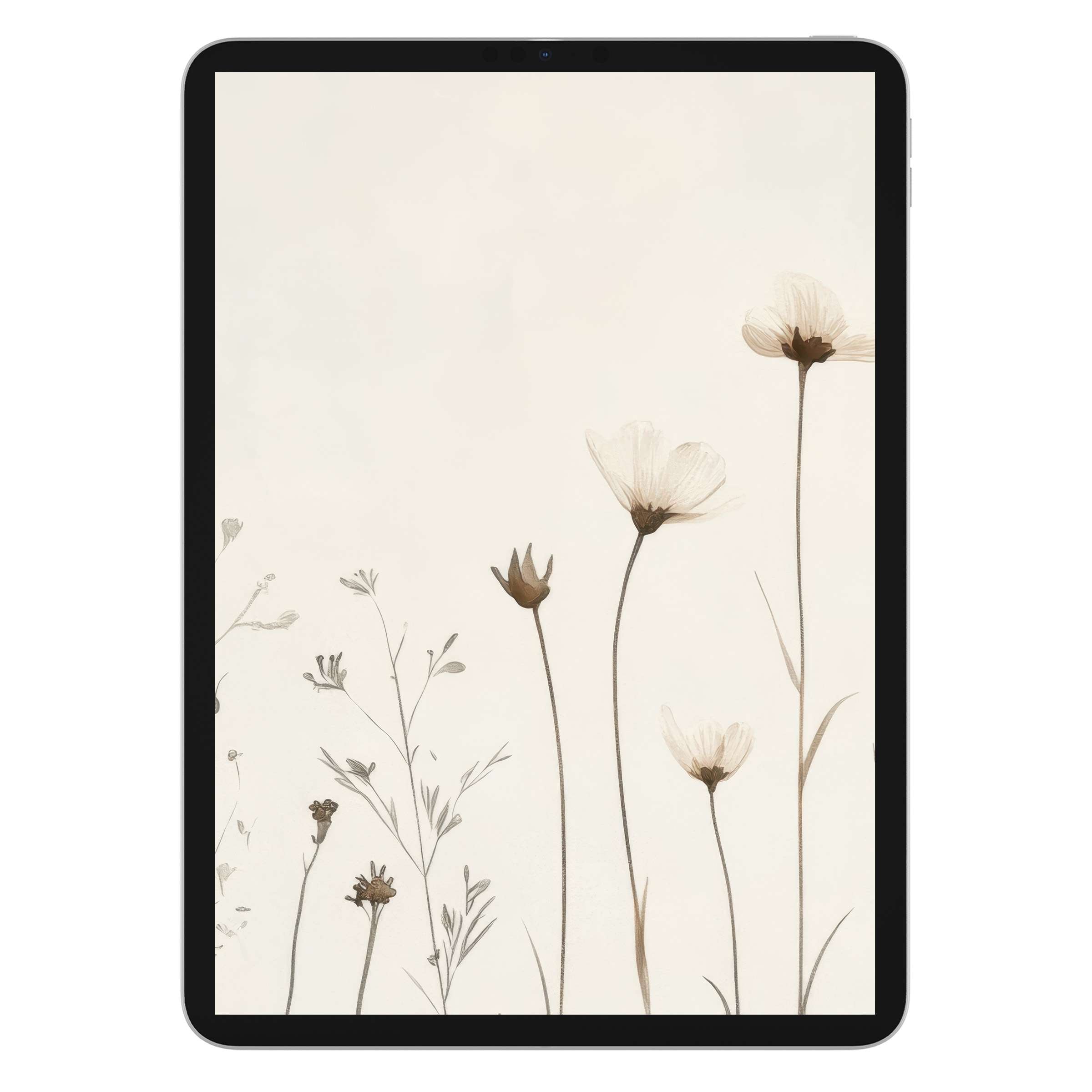 Elegant floral iPad wallpaper with delicate beige flowers ideal for tranquil digital download as tablet background enhancing calm