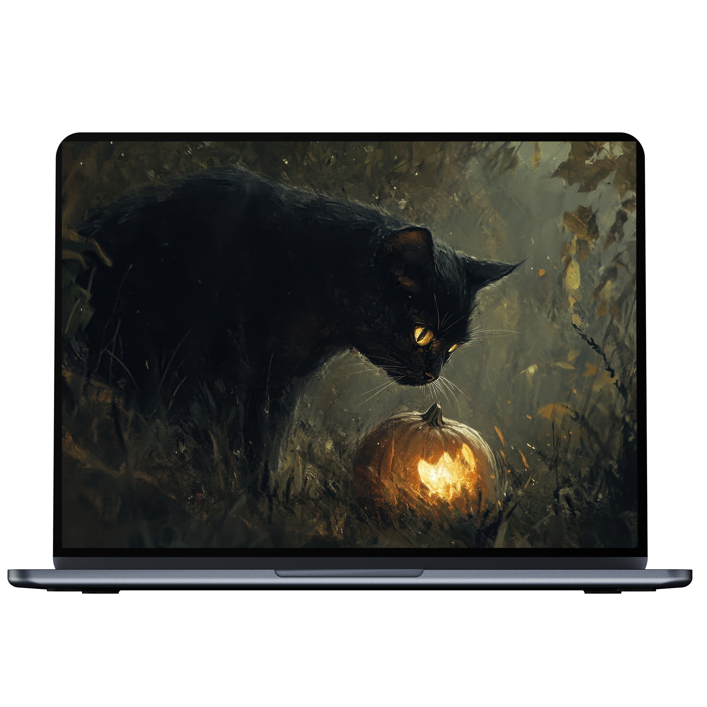 Halloween desktop wallpaper features an elegant black cat with glowing pumpkin, an inspiring digital download for PC and laptop screens