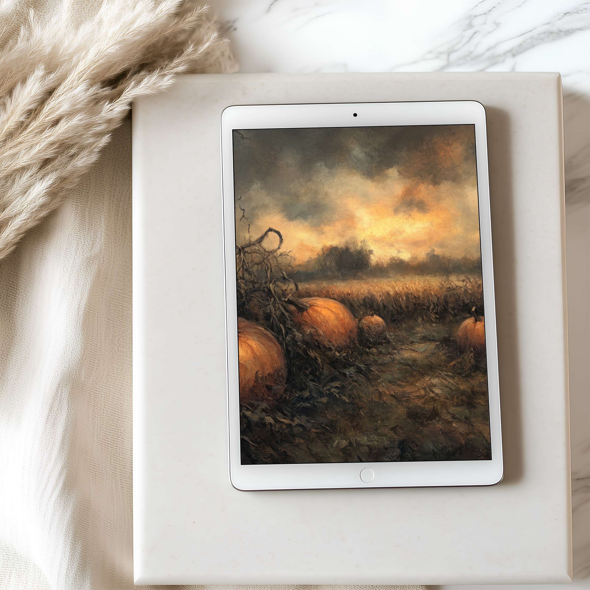 Enchanting autumn tablet wallpaper featuring serene pumpkins in a misty field high resolution download for iPad and Android elegance