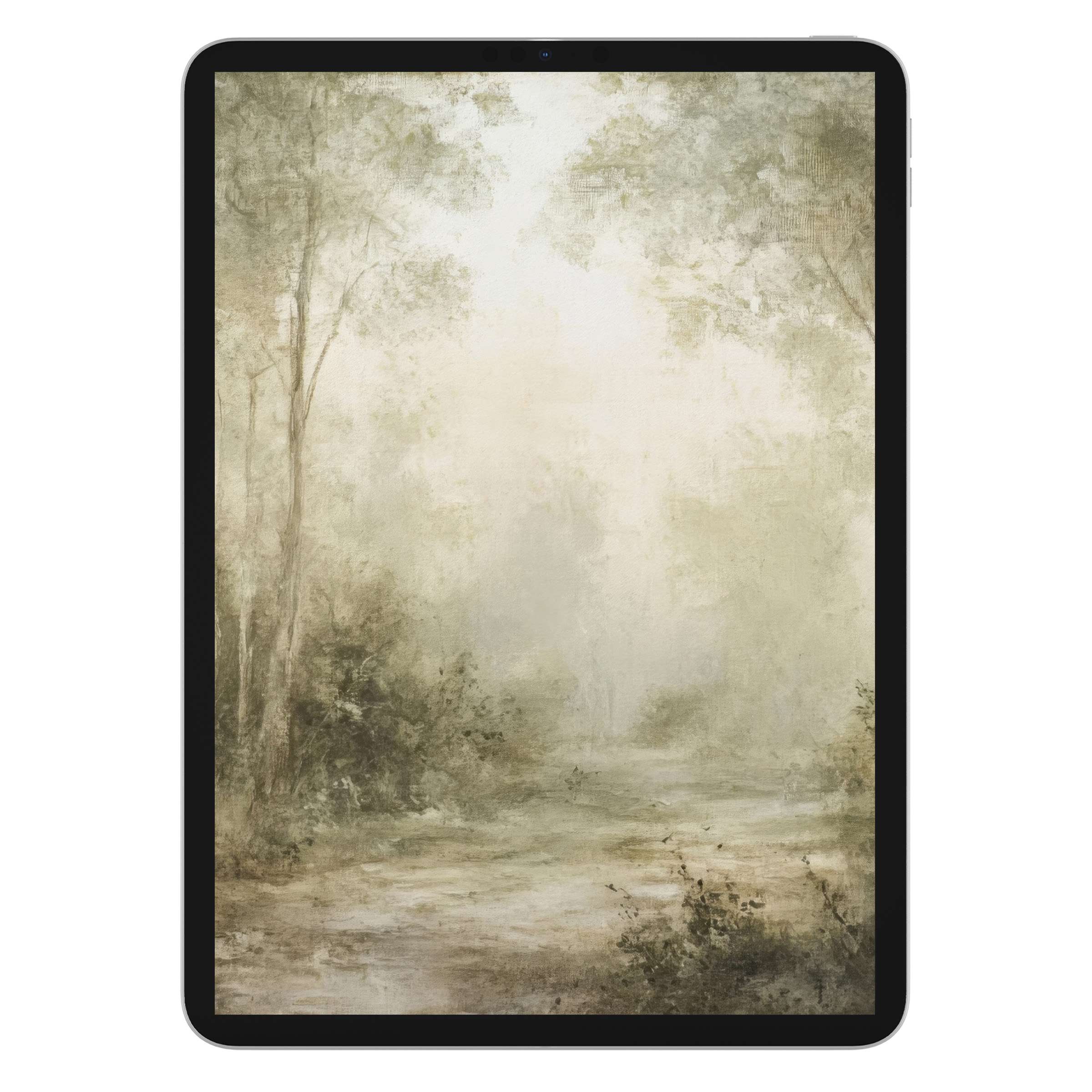 Serene misty landscape iPad wallpaper evokes tranquility with soft hues and ethereal textures, a digital download suitable for any tablet background