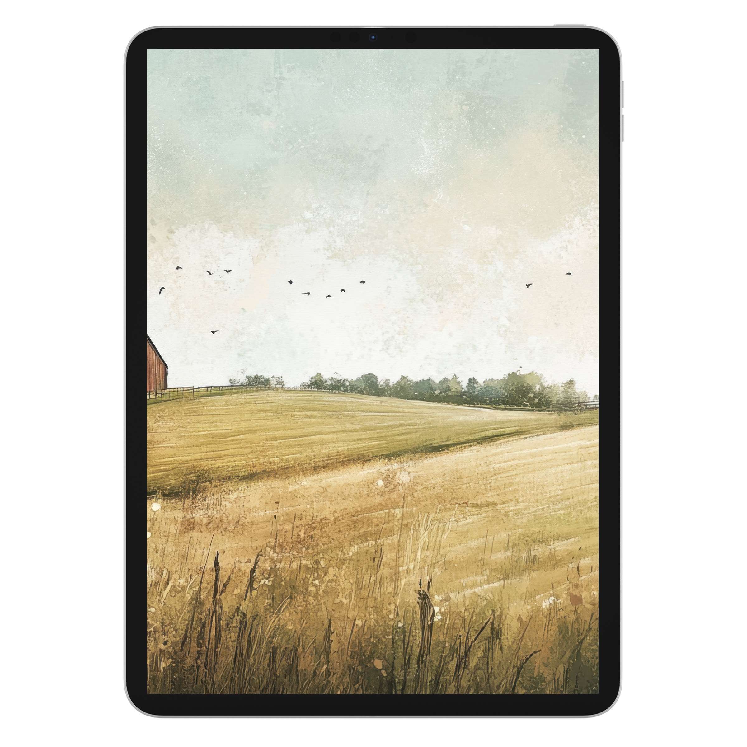 Calm landscape iPad wallpaper with rustic fields and serene sky, perfect digital download for tablet backgrounds and sustainable elegance