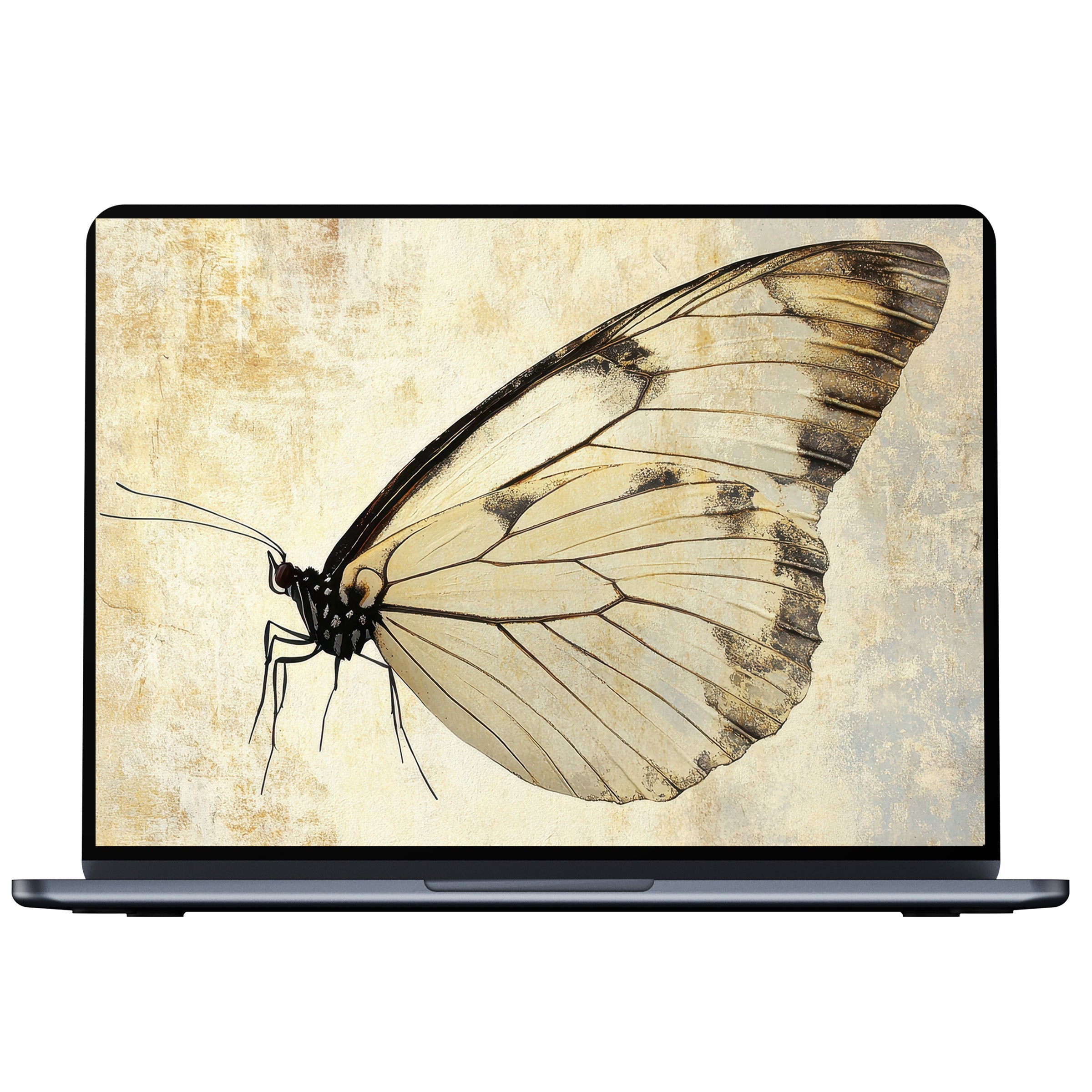 Minimalist desktop wallpaper featuring an elegant butterfly design on textured beige, perfect digital download for PC and laptop screens