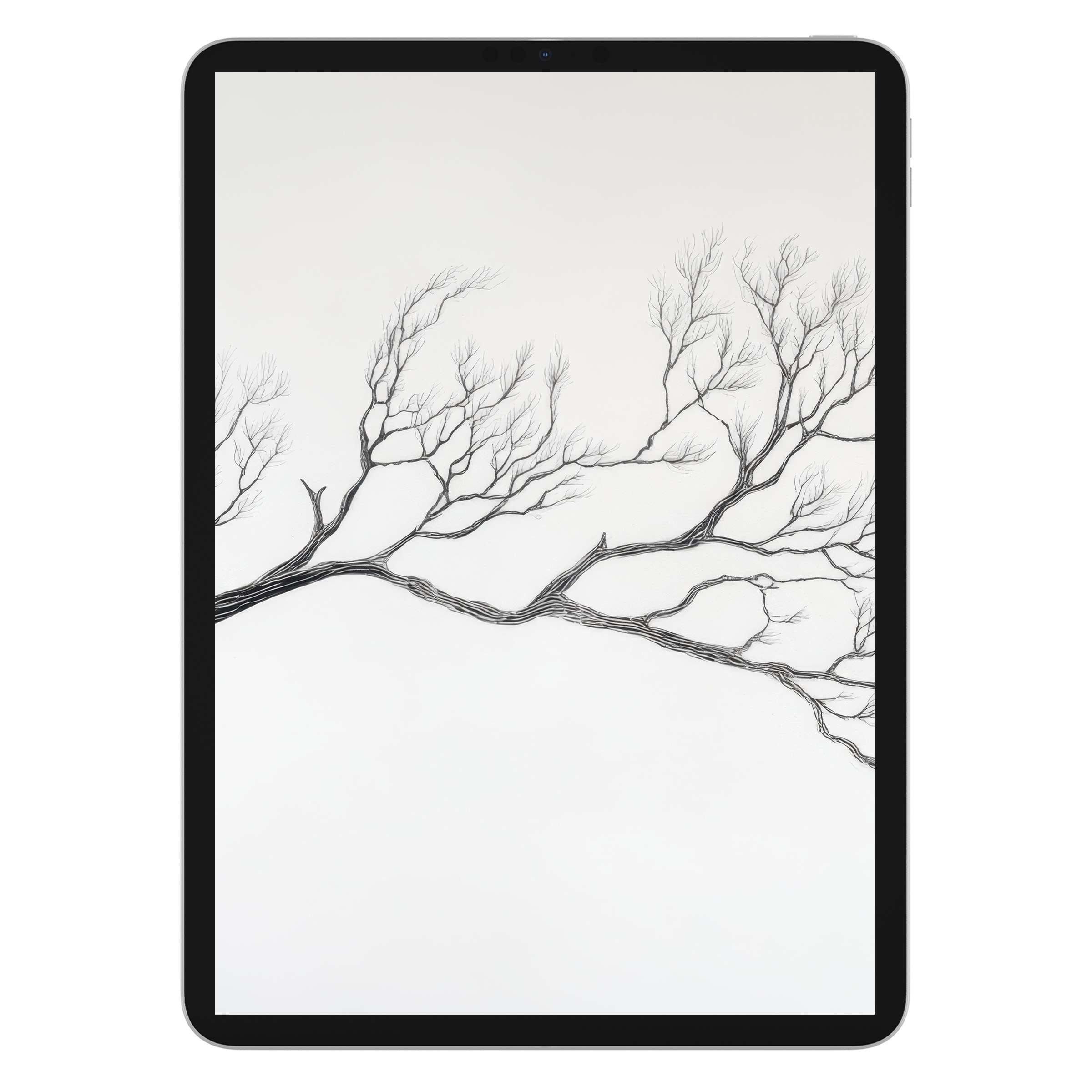 Minimalist iPad wallpaper featuring elegant tree branches on a serene white background, digital download for a calming tablet experience