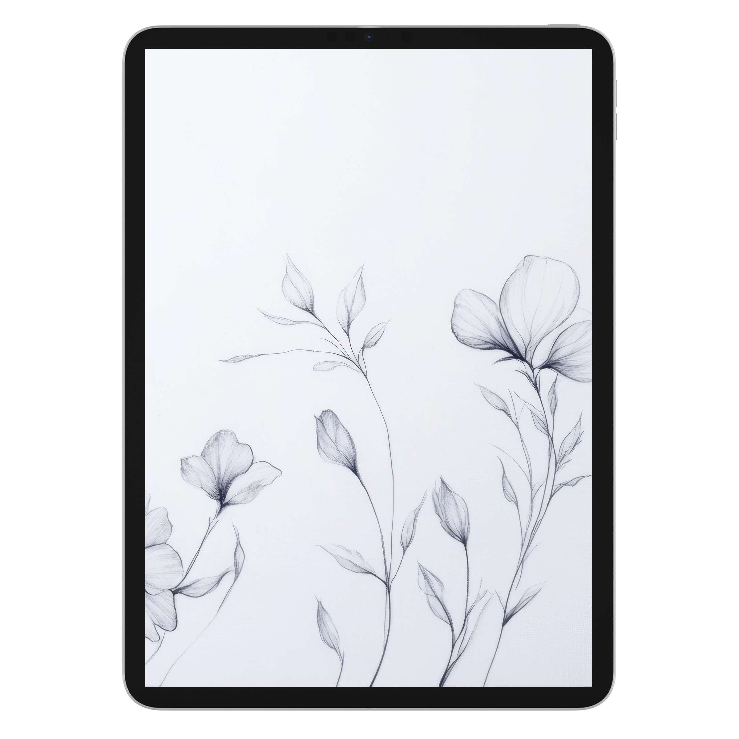Elegant minimalist iPad wallpaper featuring a soft floral sketch on a serene background, ideal for any tablet digital download