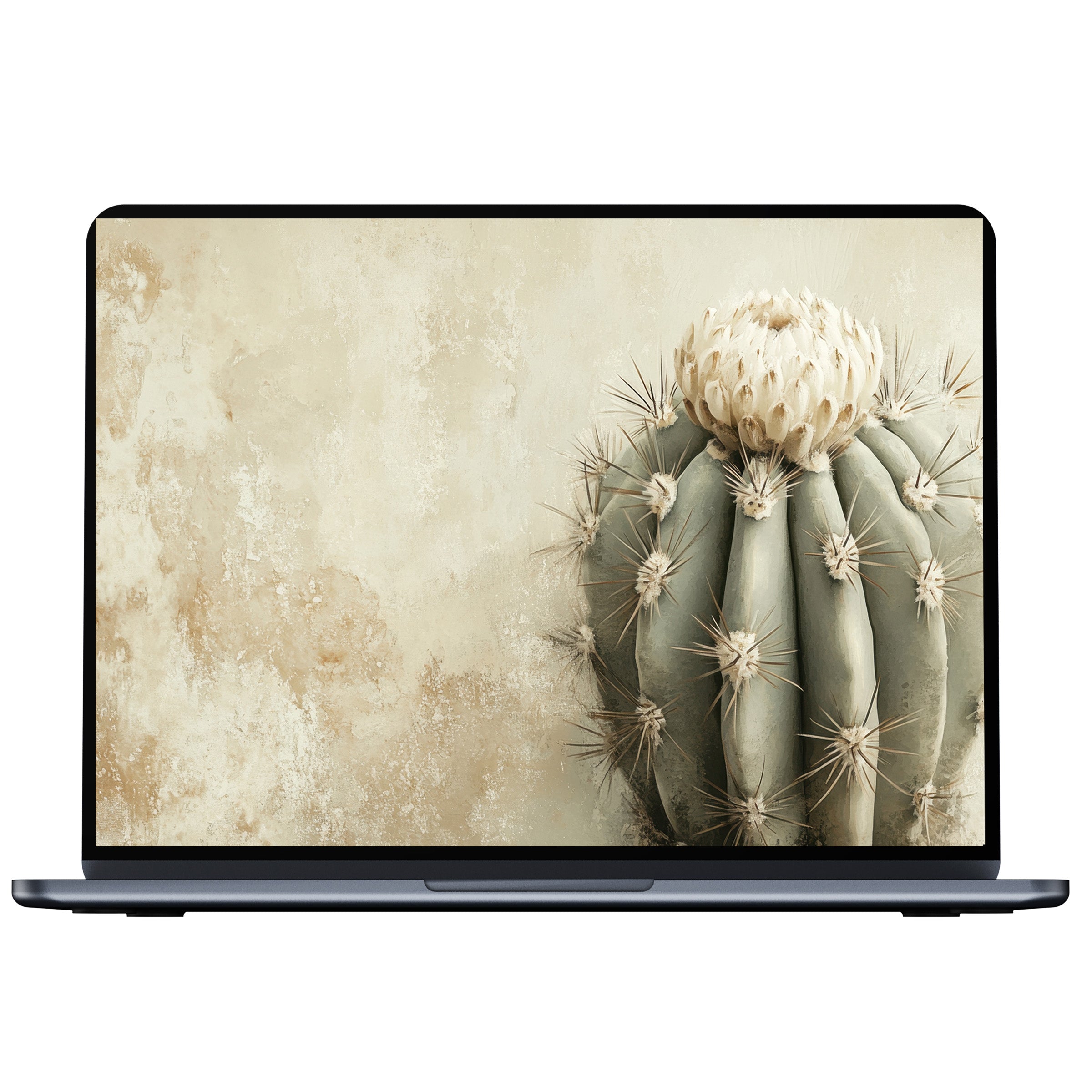 Neutral desktop wallpaper featuring a textured beige canvas with a serene cactus art, available for digital download for PC and laptop