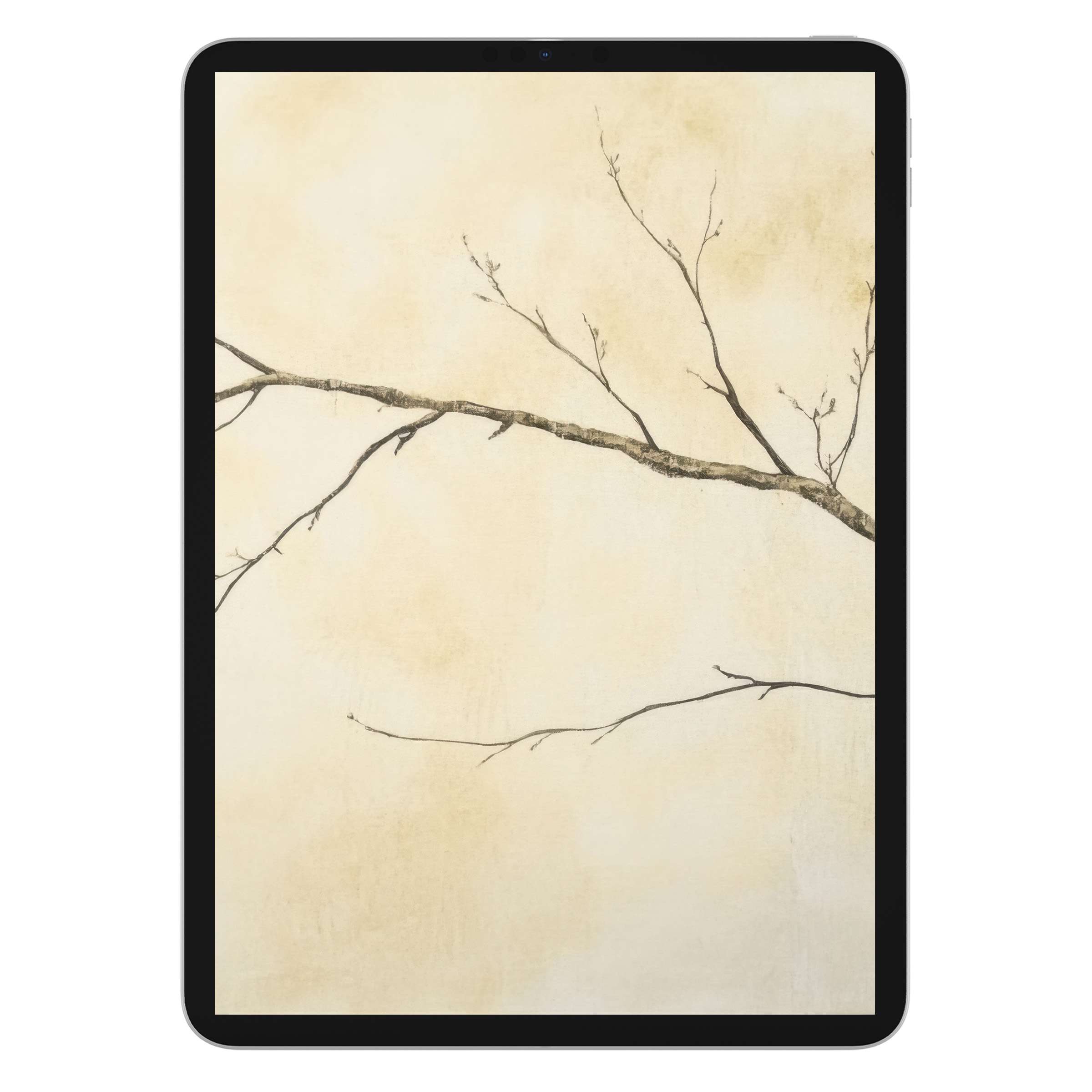 Neutral iPad wallpaper features an elegant branch against a soft beige background ideal for tablets digital download adds serenity