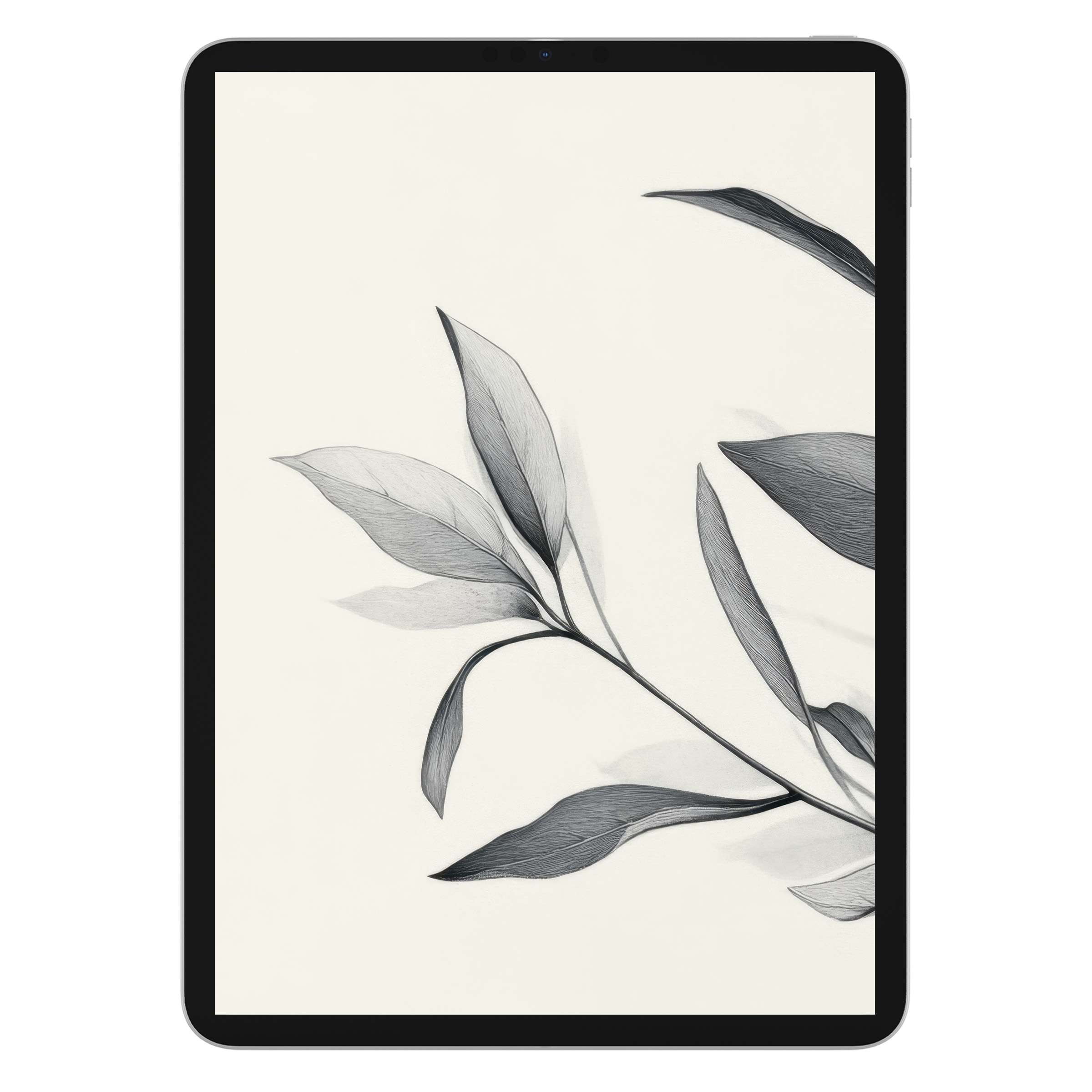 Elegant black and white neutral iPad wallpaper featuring delicate leaf sketches as a calming tablet background digital download