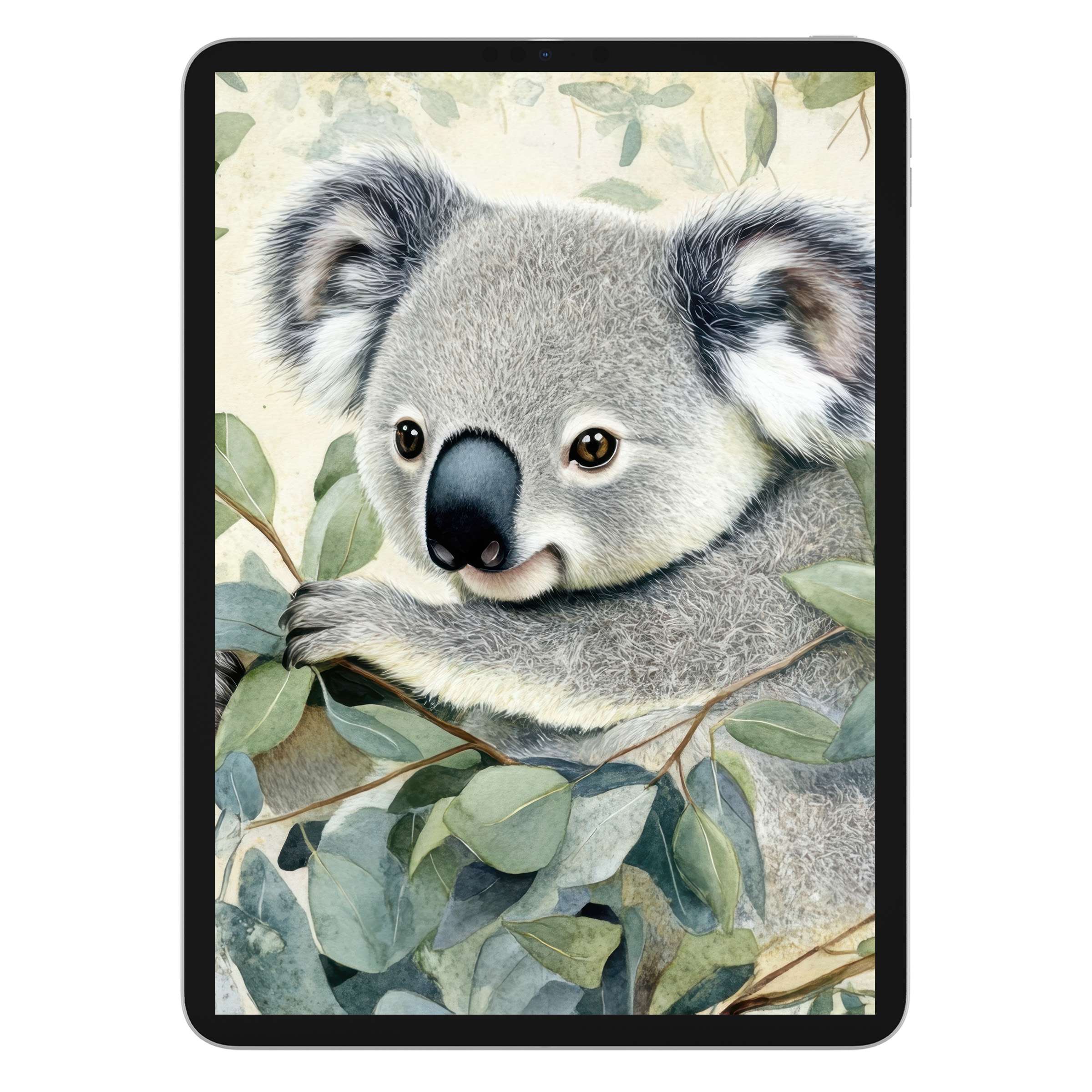 Charming koala amidst eucalyptus in a serene watercolor style, perfect nursery iPad wallpaper digital download for a calming tablet background