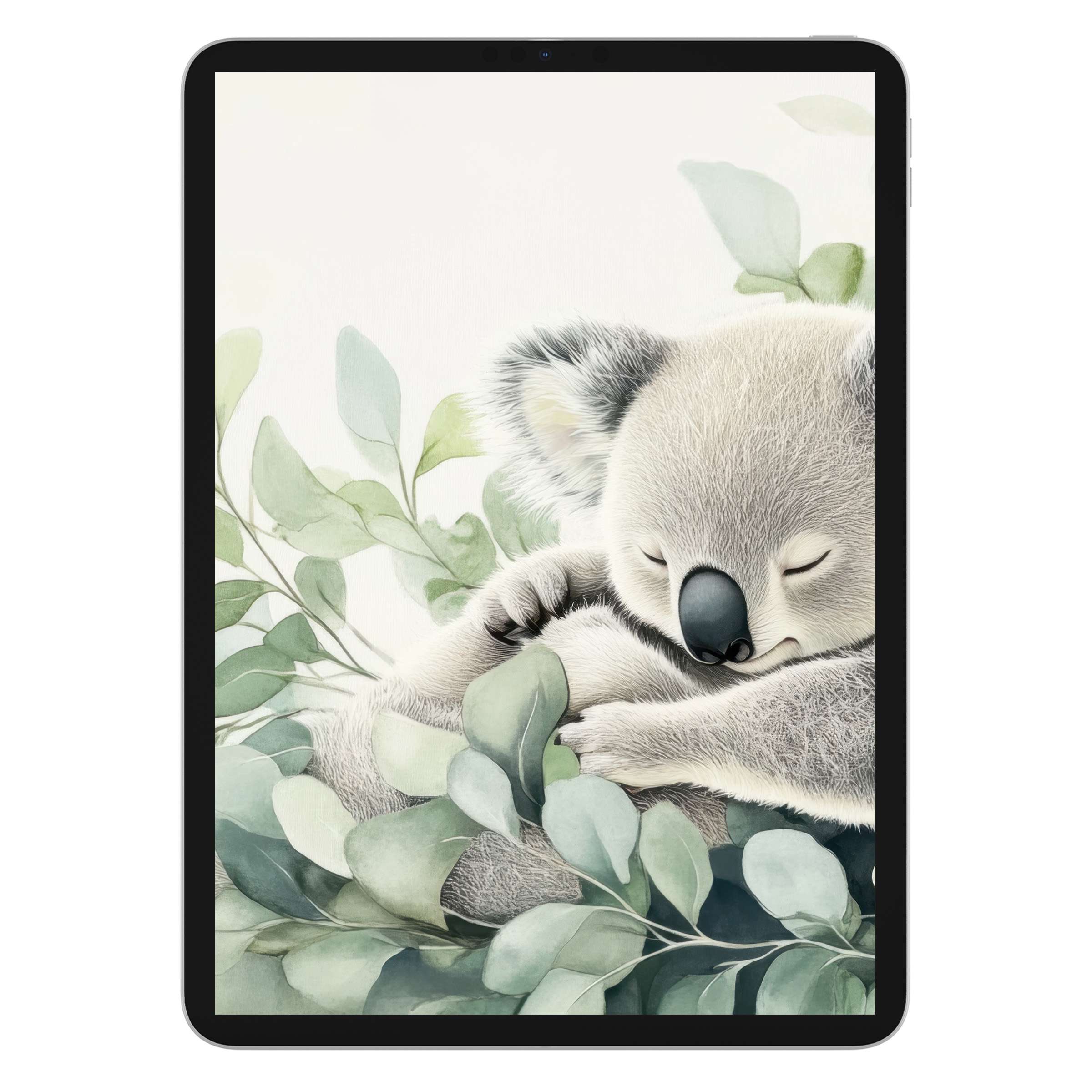 Elegant watercolor of a sleeping koala nestled in green leaves, perfect nursery iPad wallpaper digital download, serene tablet background