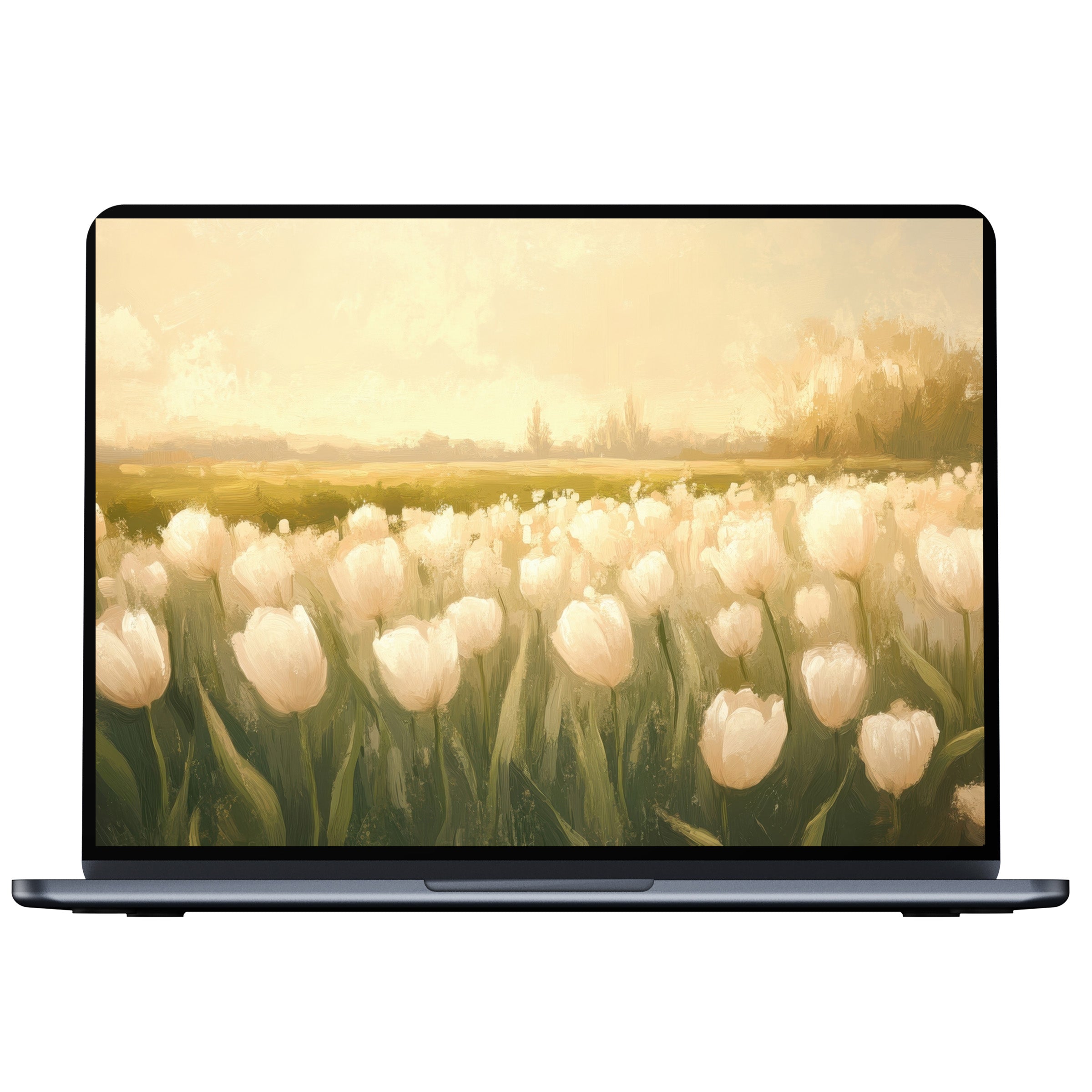Spring desktop wallpaper showcases a serene field of white tulips under soft sunlight, ideal digital download for PC and laptop users