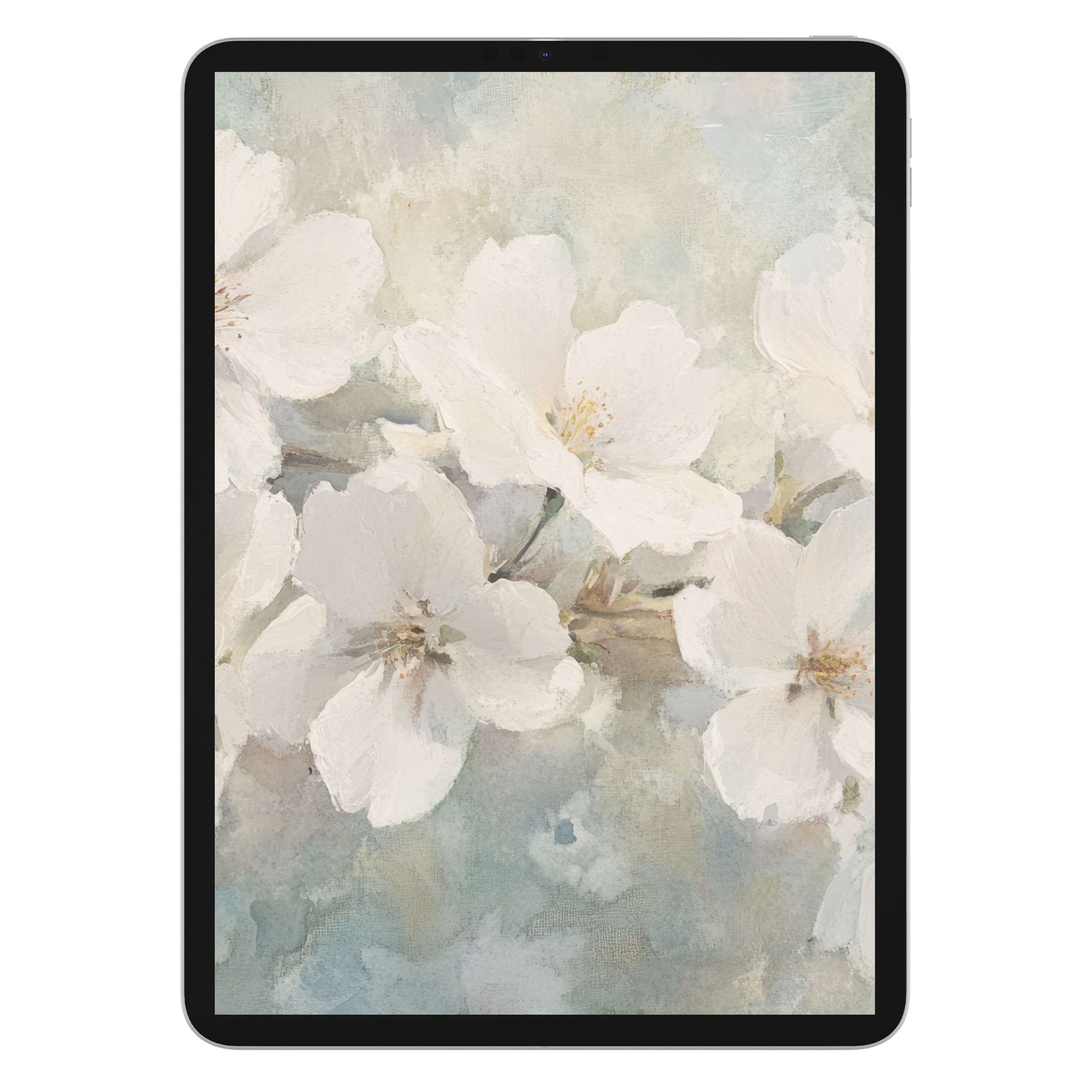 Spring iPad wallpaper digital download with elegant white blossoms in serene watercolor, perfect tablet background for artistic calm