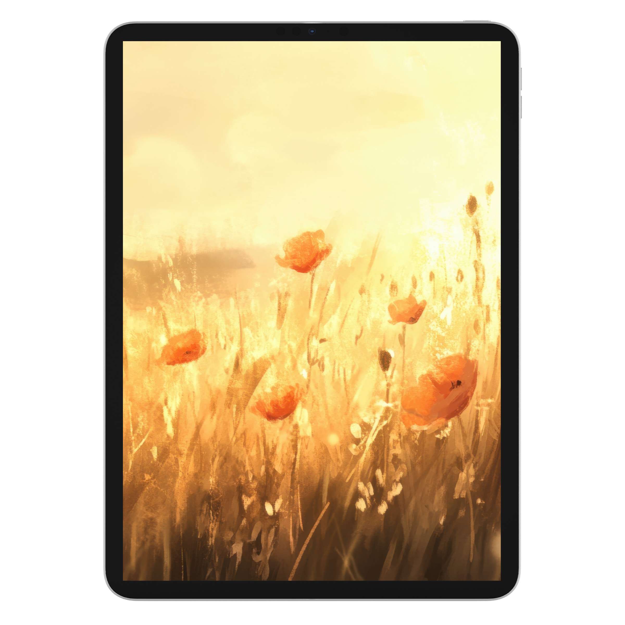 Radiant spring iPad wallpaper with warm golden fields and red poppies, perfect digital download for tablet backgrounds and serenity