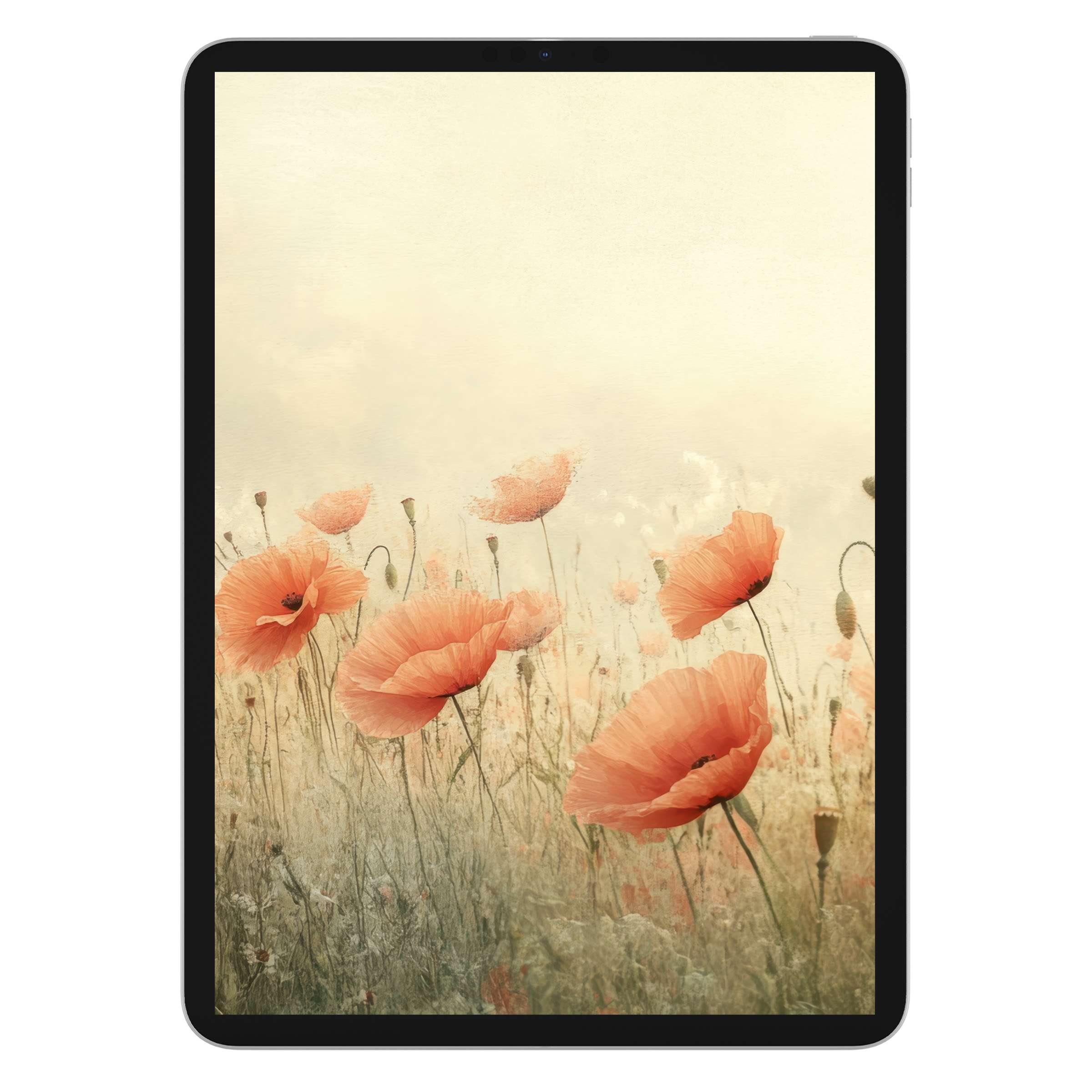 Elegant spring iPad wallpaper with serene poppies in watercolor style, perfect digital download for tablet backgrounds, eco-friendly design